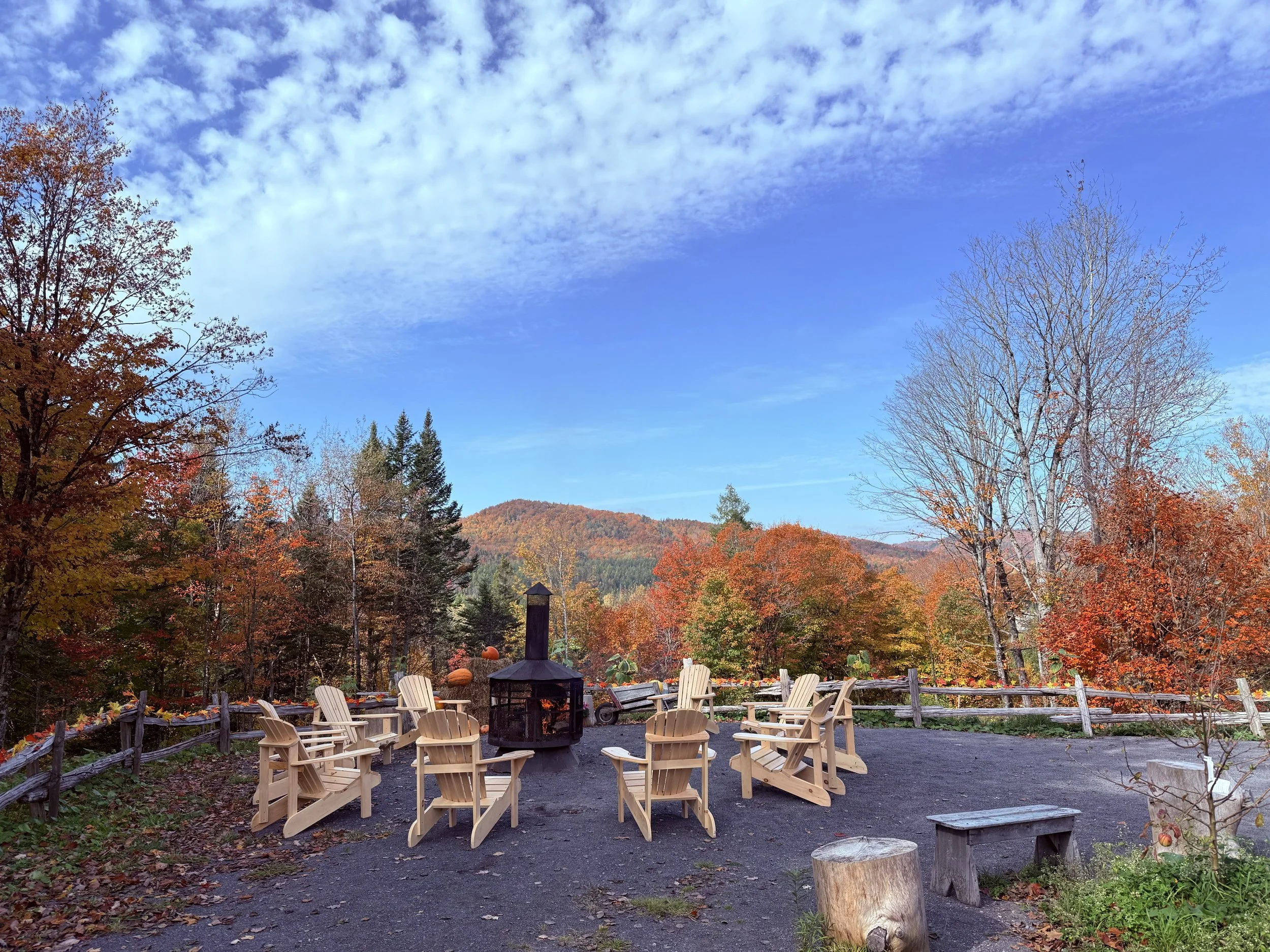 Feu octobre citrouille