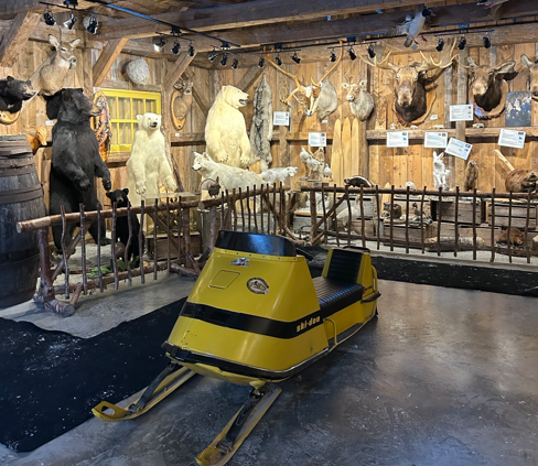 Moto neige avec animaux empaillés