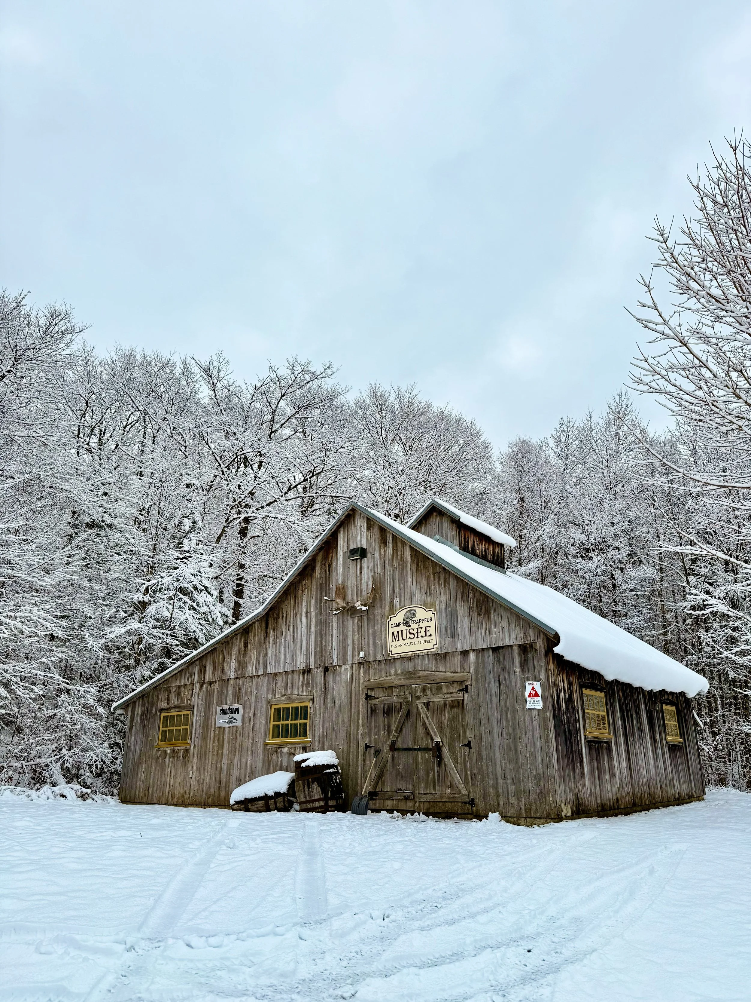 Musée des animaux naturalisés