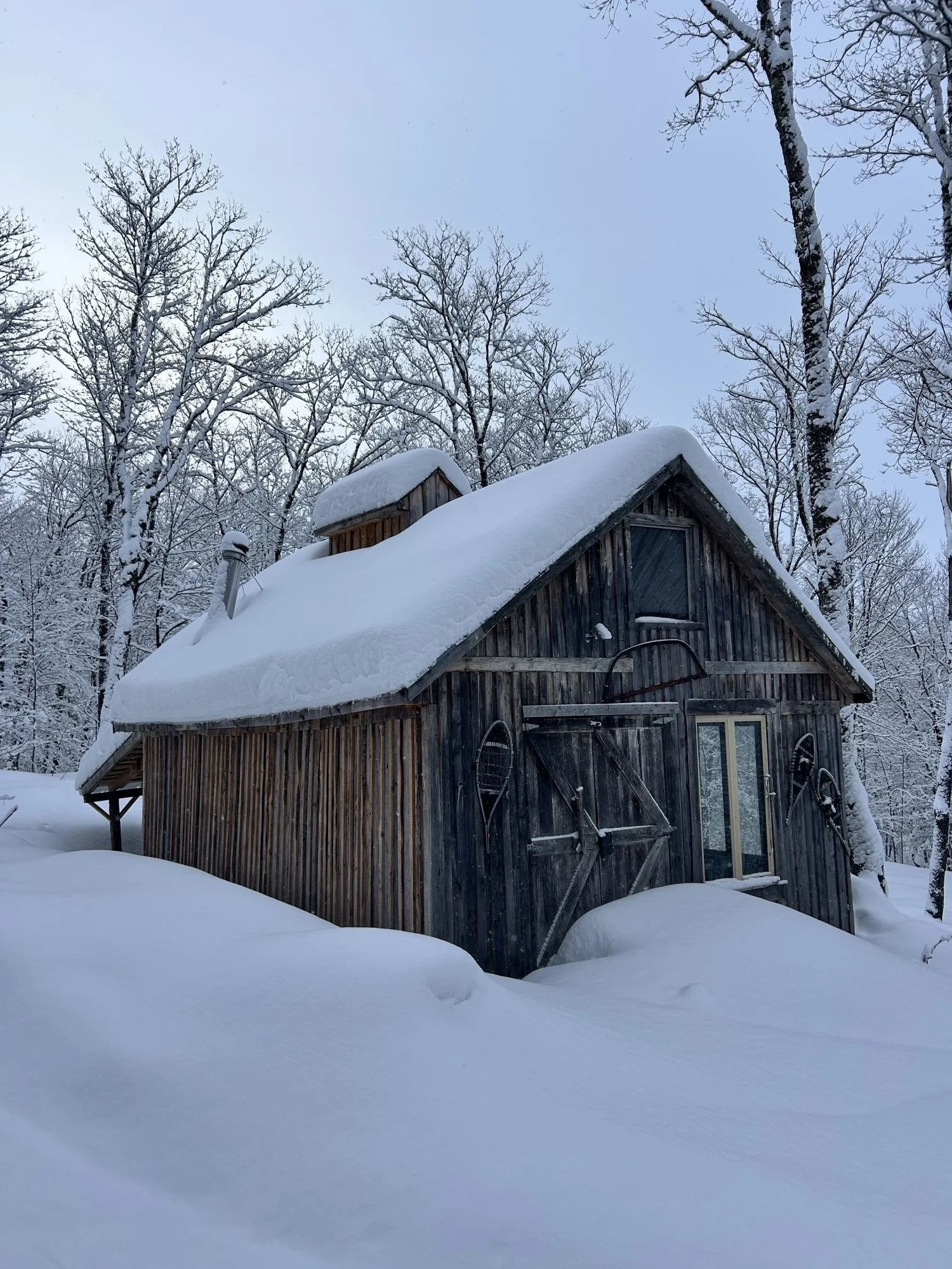 cabane à sucre avec neige