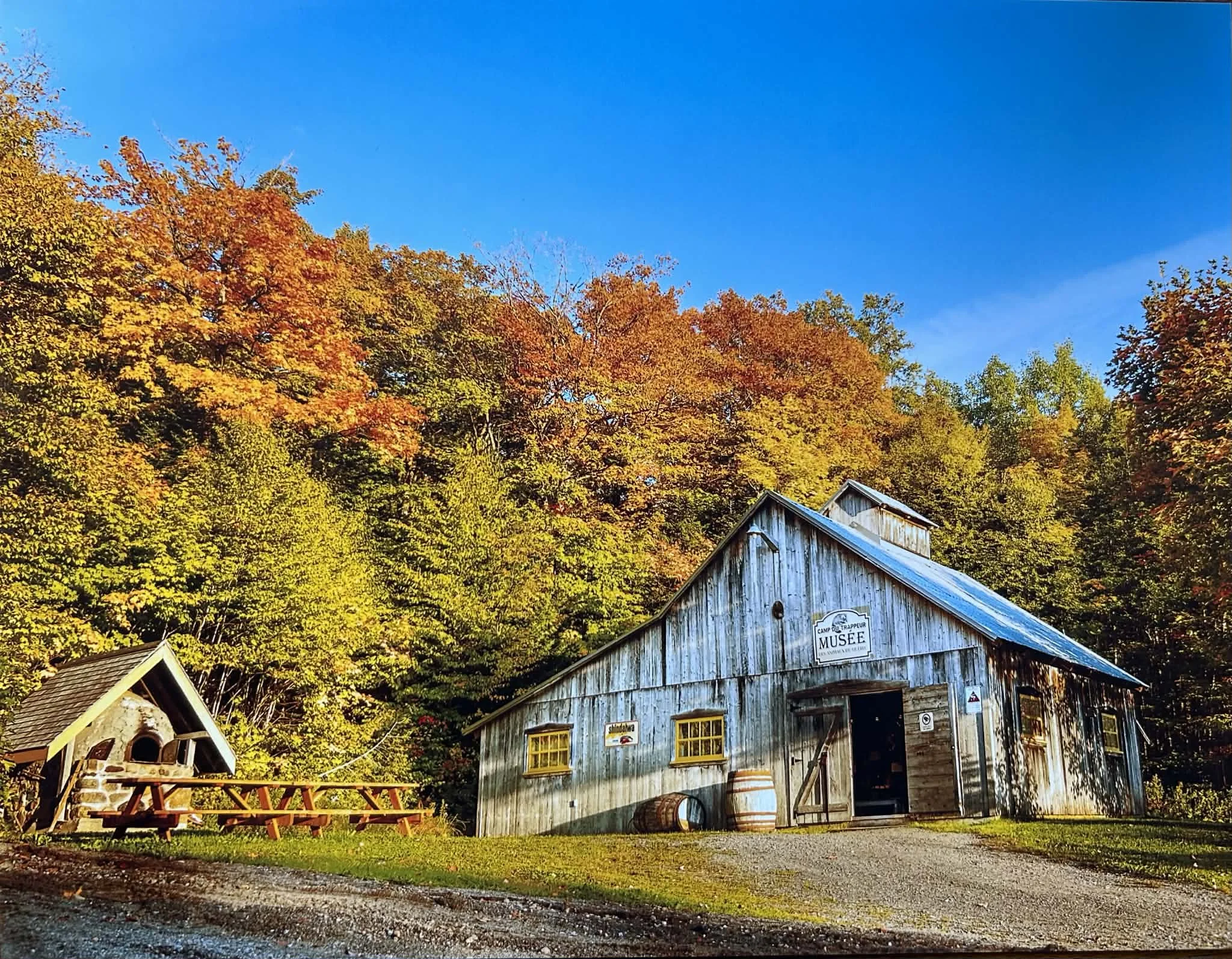 Camp du trappeur avec couleur d'automne