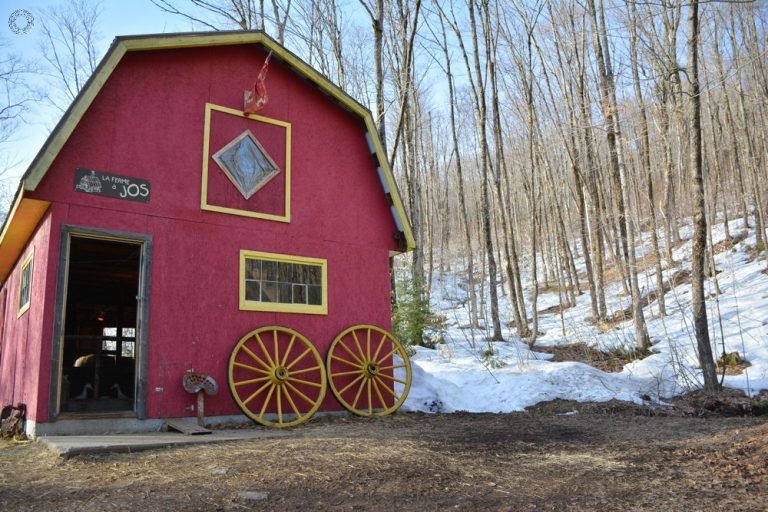 la ferme rouge avec animaux