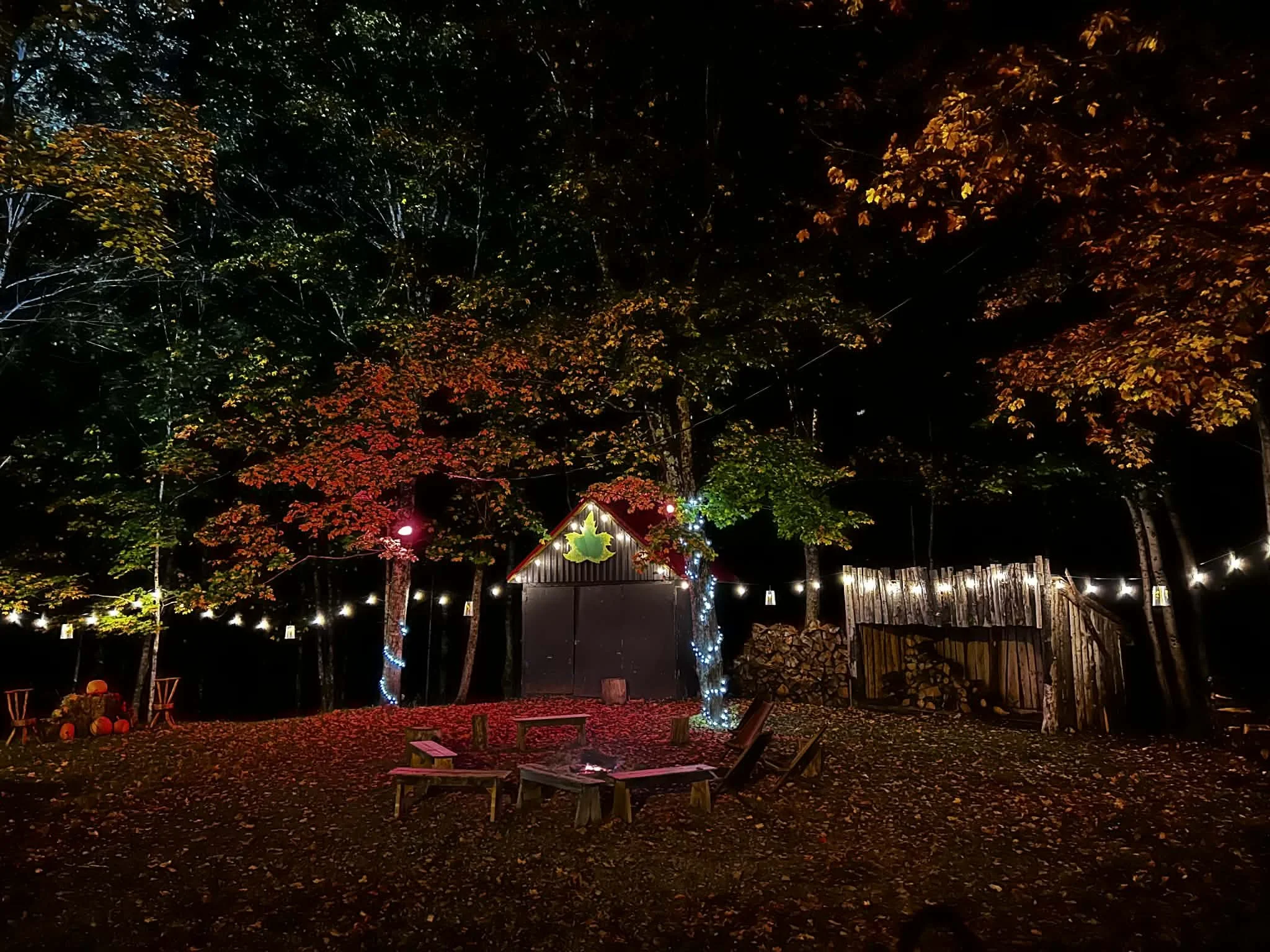 Feu d'automne avec lumière