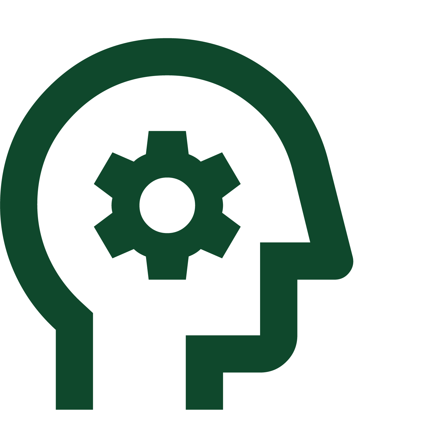 Icon of a human head with a gear inside, representing thinking or process