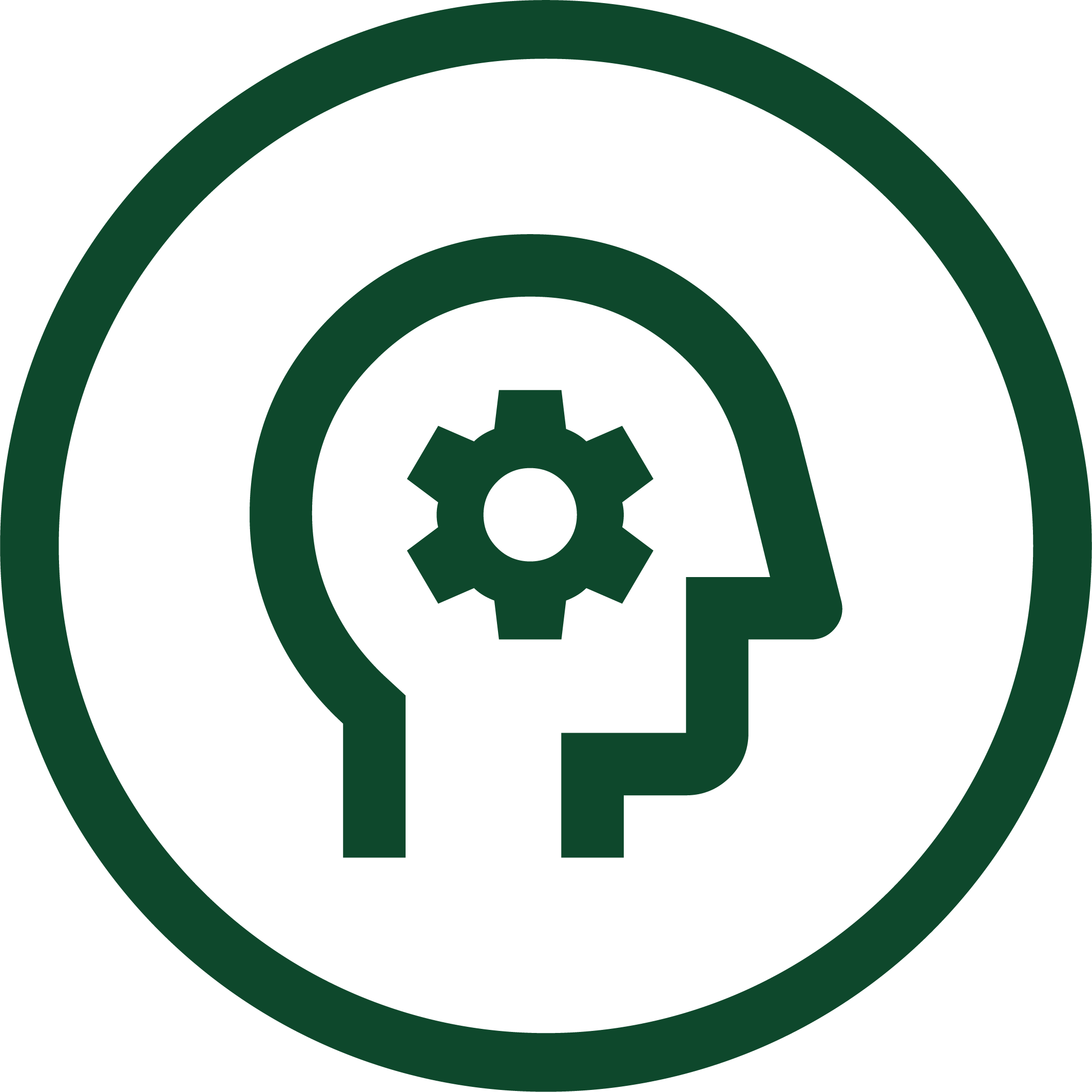 Icon of a human head with a gear inside, representing thinking or process
