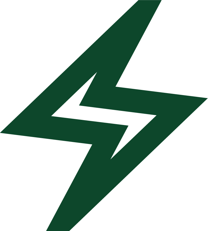 Icon of a lightning bolt
