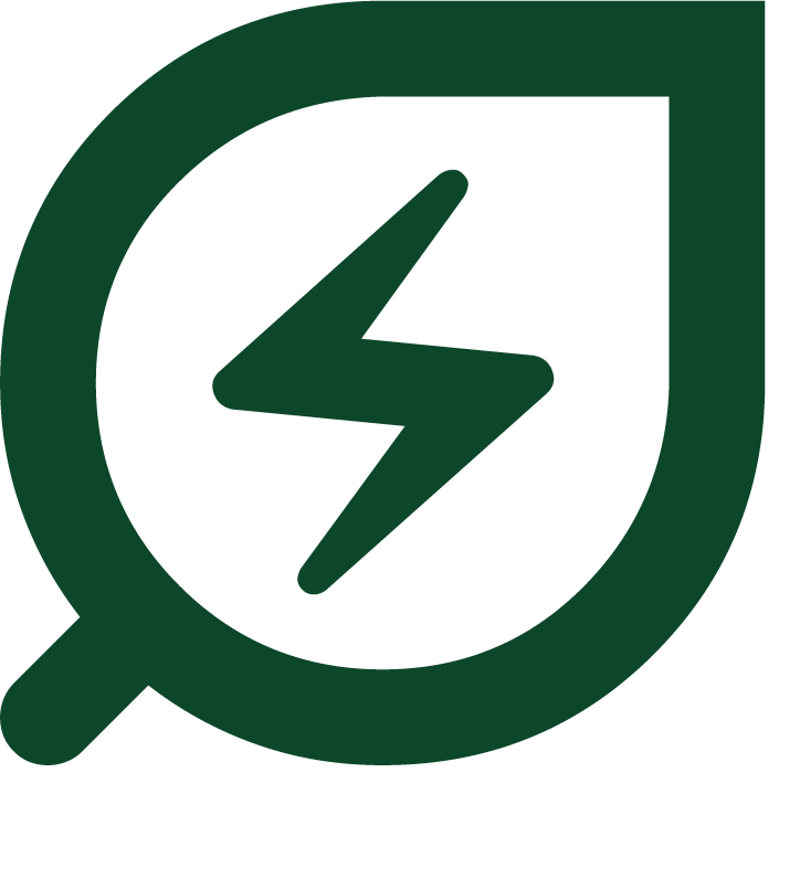 Icon of a leaf with a lightning bolt inside