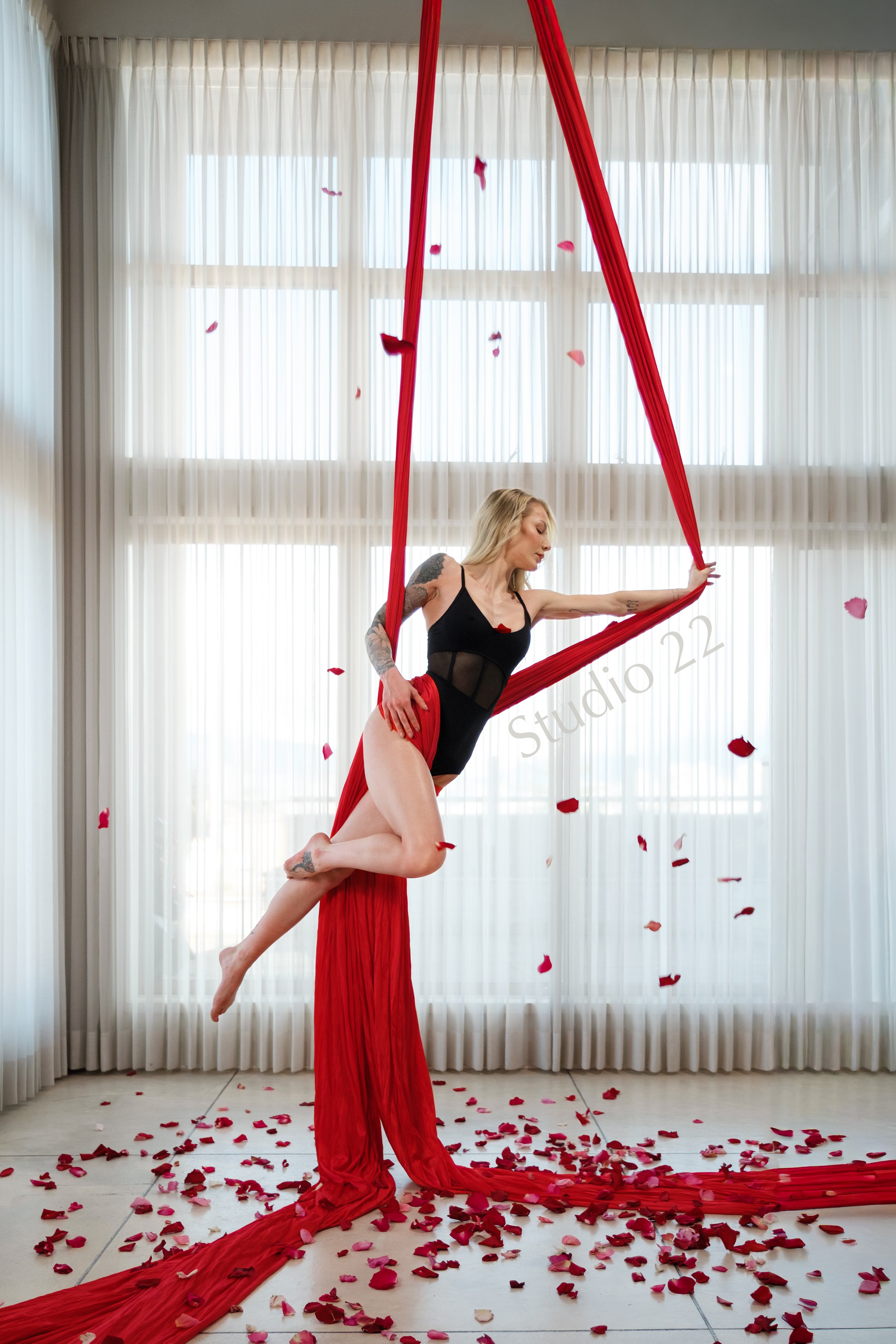 A woman performing aerial silks dance in a room with large windows and sheer curtains, surrounded by fallen rose petals in Vancouver in Vancouver.