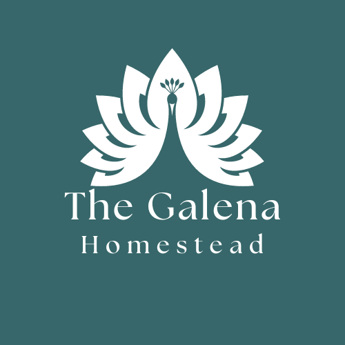 The Galena Homestead located in Galena, Illinois elite breeder of Katahdin Hair Sheep