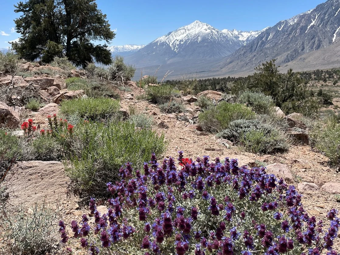 Hiking and conversations with midlife women