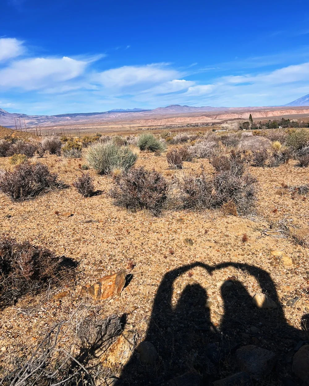 Figuring out midlife with other women