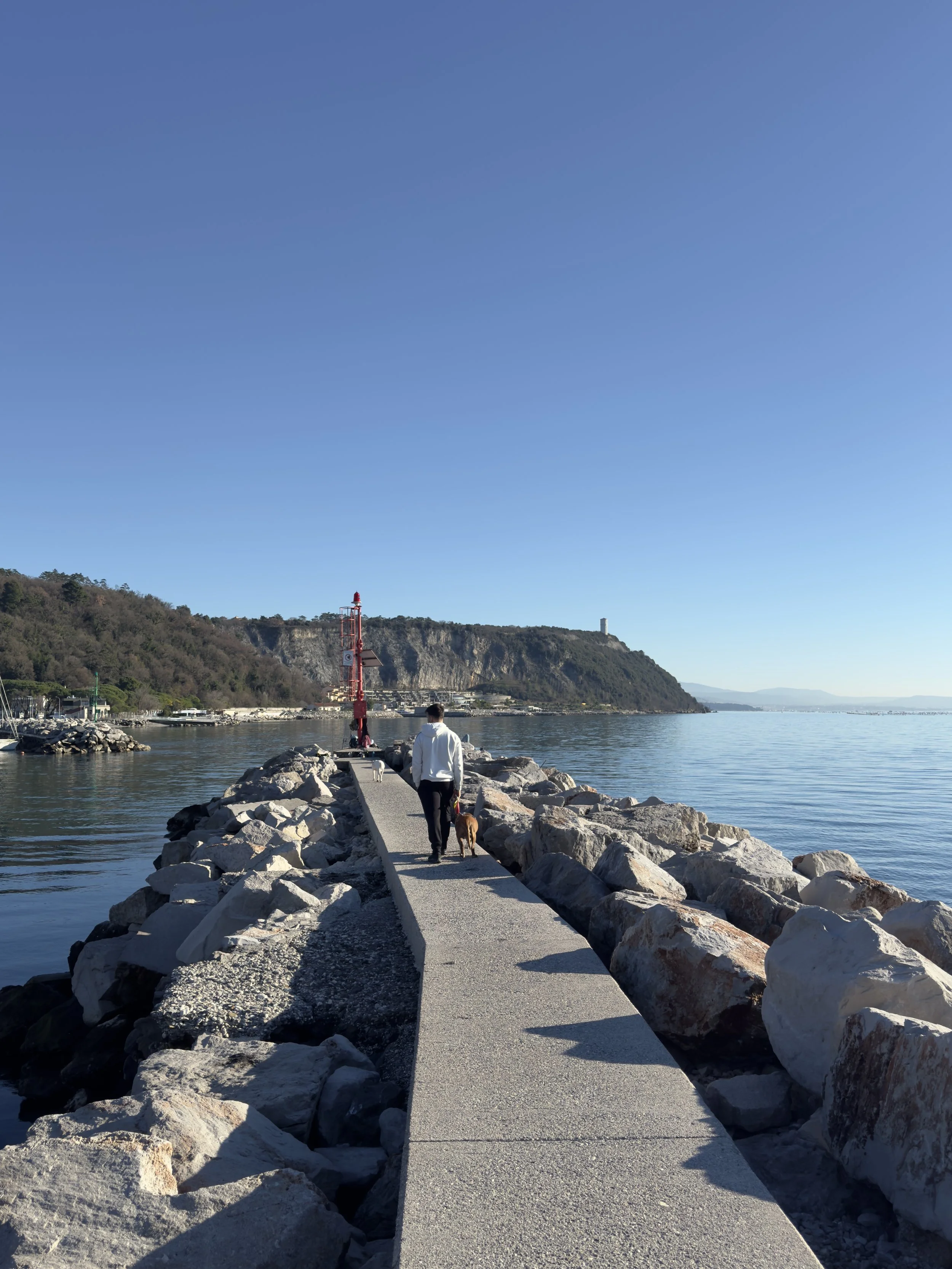 A man walking with his dog along a narrow concrete pier lined with large rocks, extending into a calm body of water under a clear blue sky. In the background, there are hills with sparse trees and a red lighthouse.