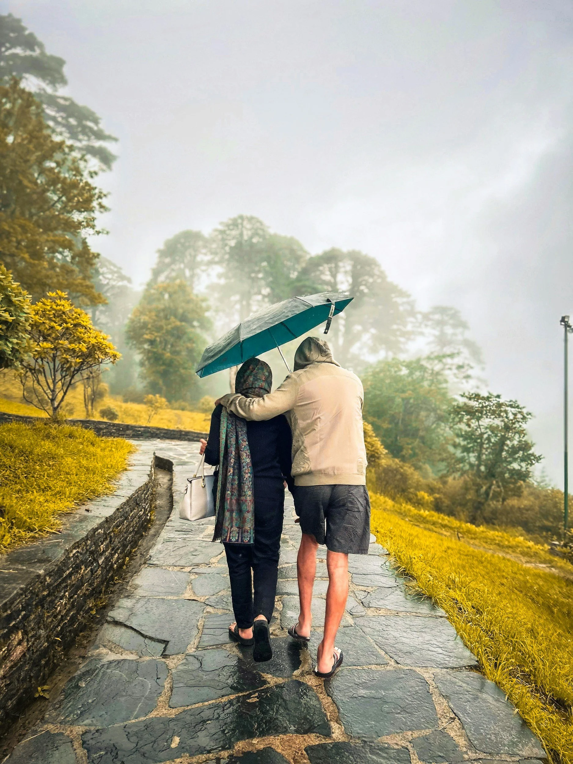Two people walking on a stone path in the rain, sharing an umbrella, surrounded by trees and yellow foliage.