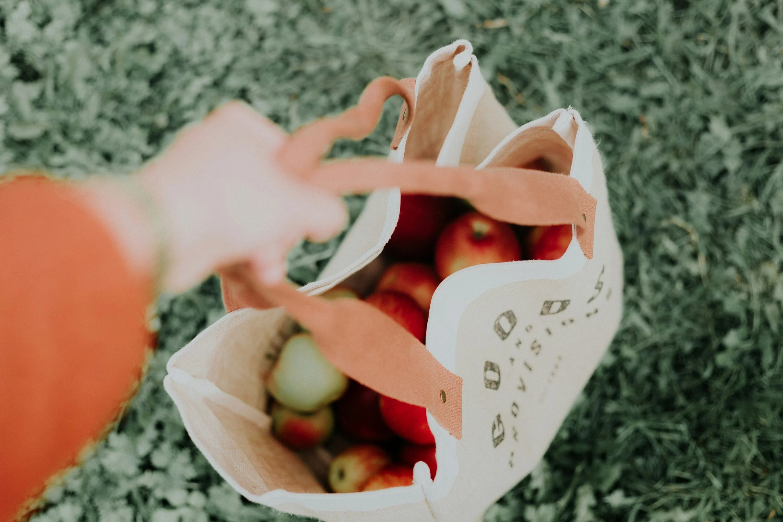 Person holding a reusable tote bag filled with apples and food on grass.