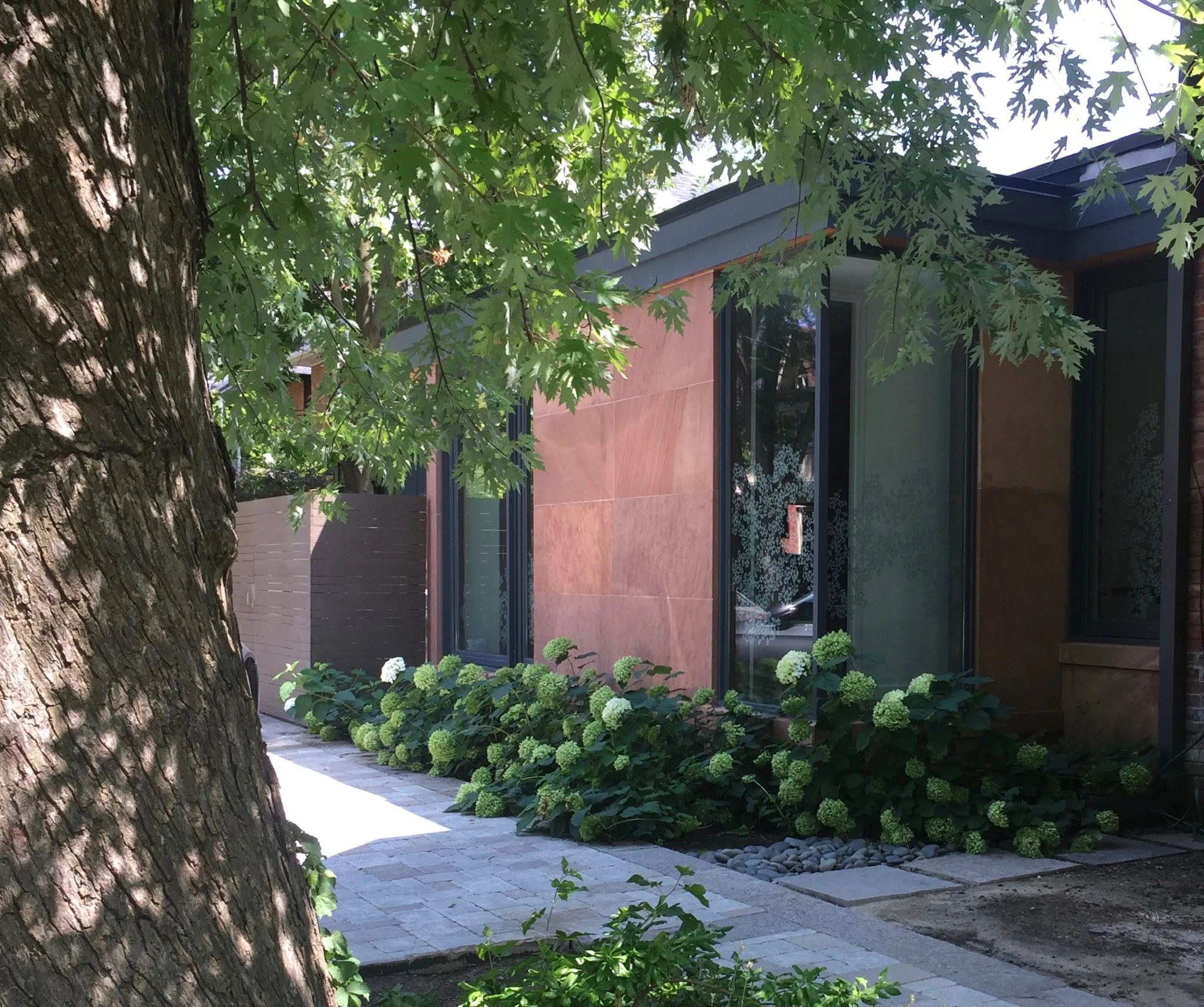 Rathnelly Side with Tree.jpg