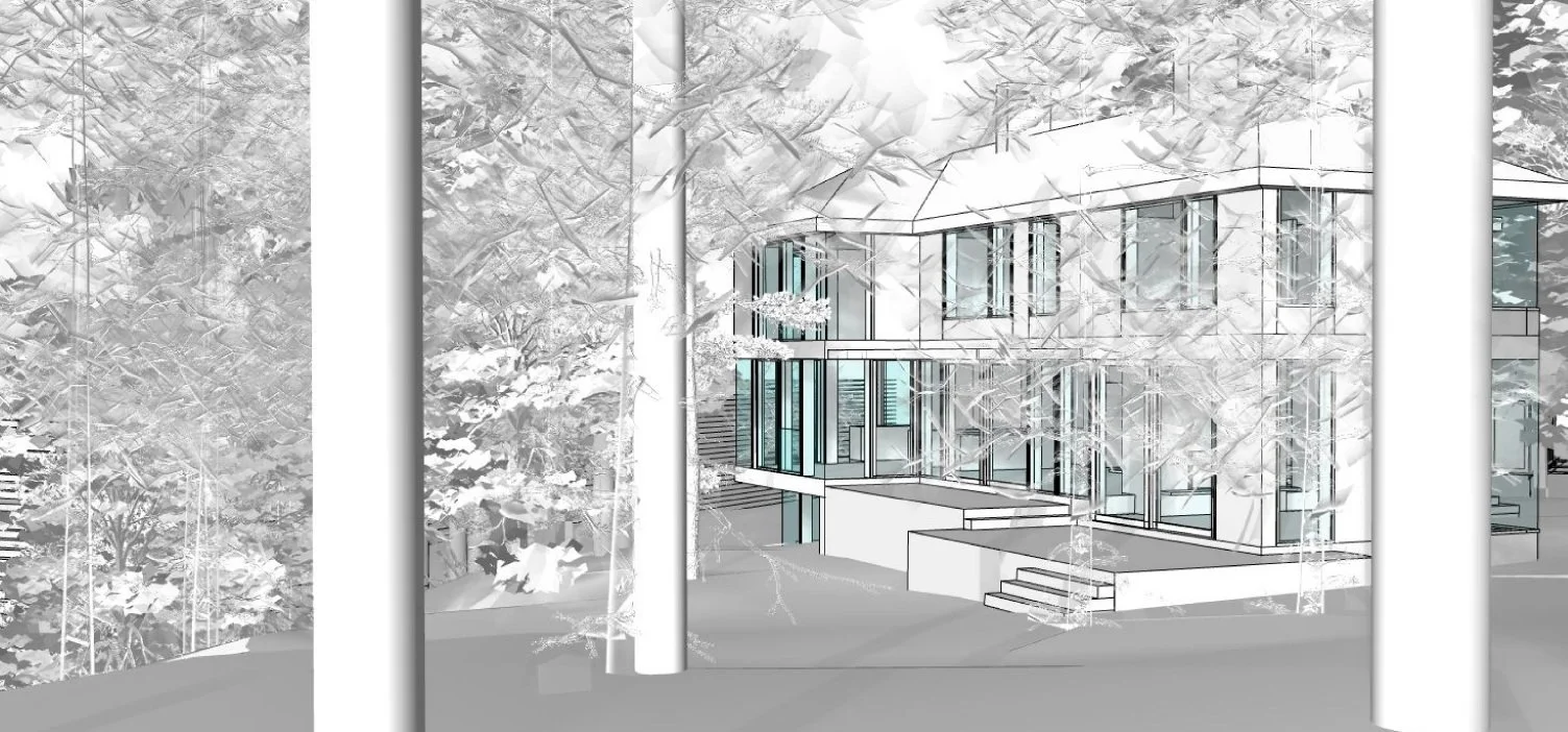 Lake View Drawing 3.jpg