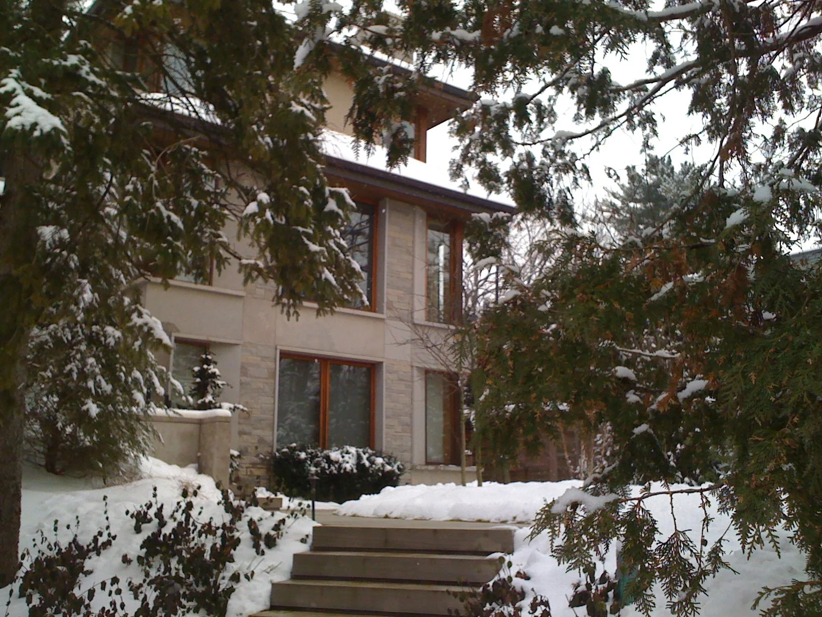 Hoggs Hollow Snow  Hi Res.JPG