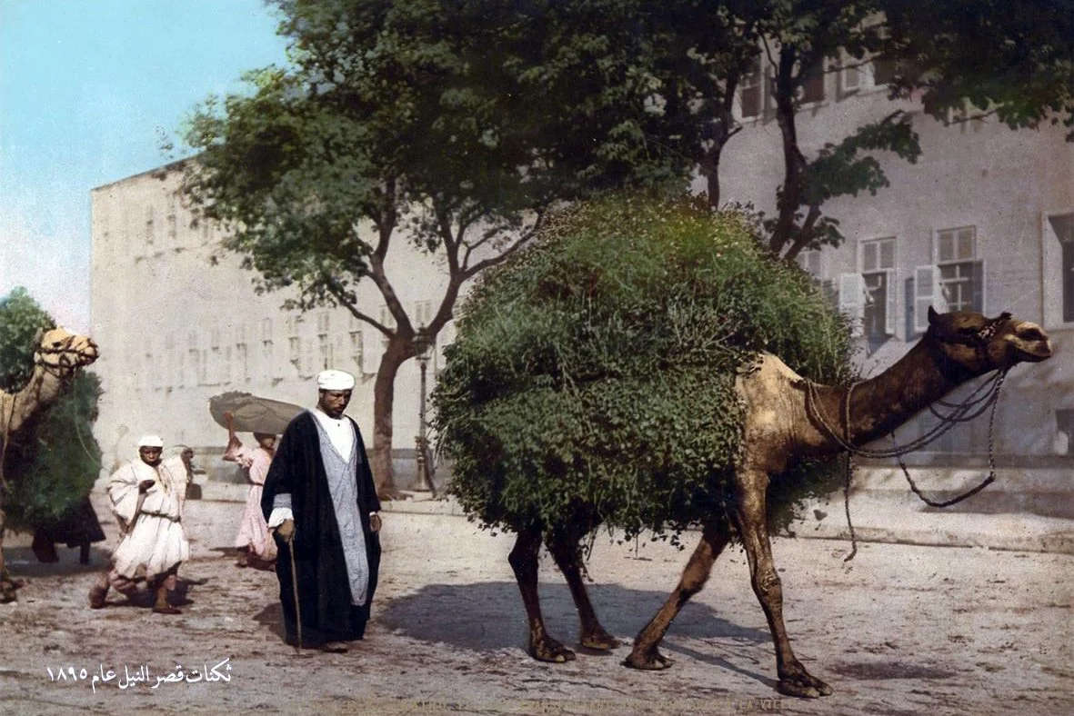 ١٨٩٠ ثكنات قصر النيل