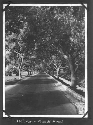 Maadi-Helwan Road. 1942
