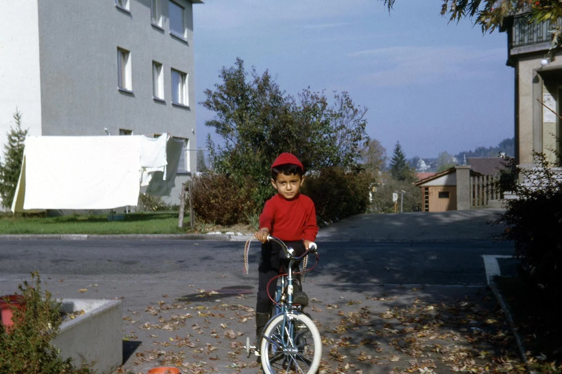 swiss_136.jpg