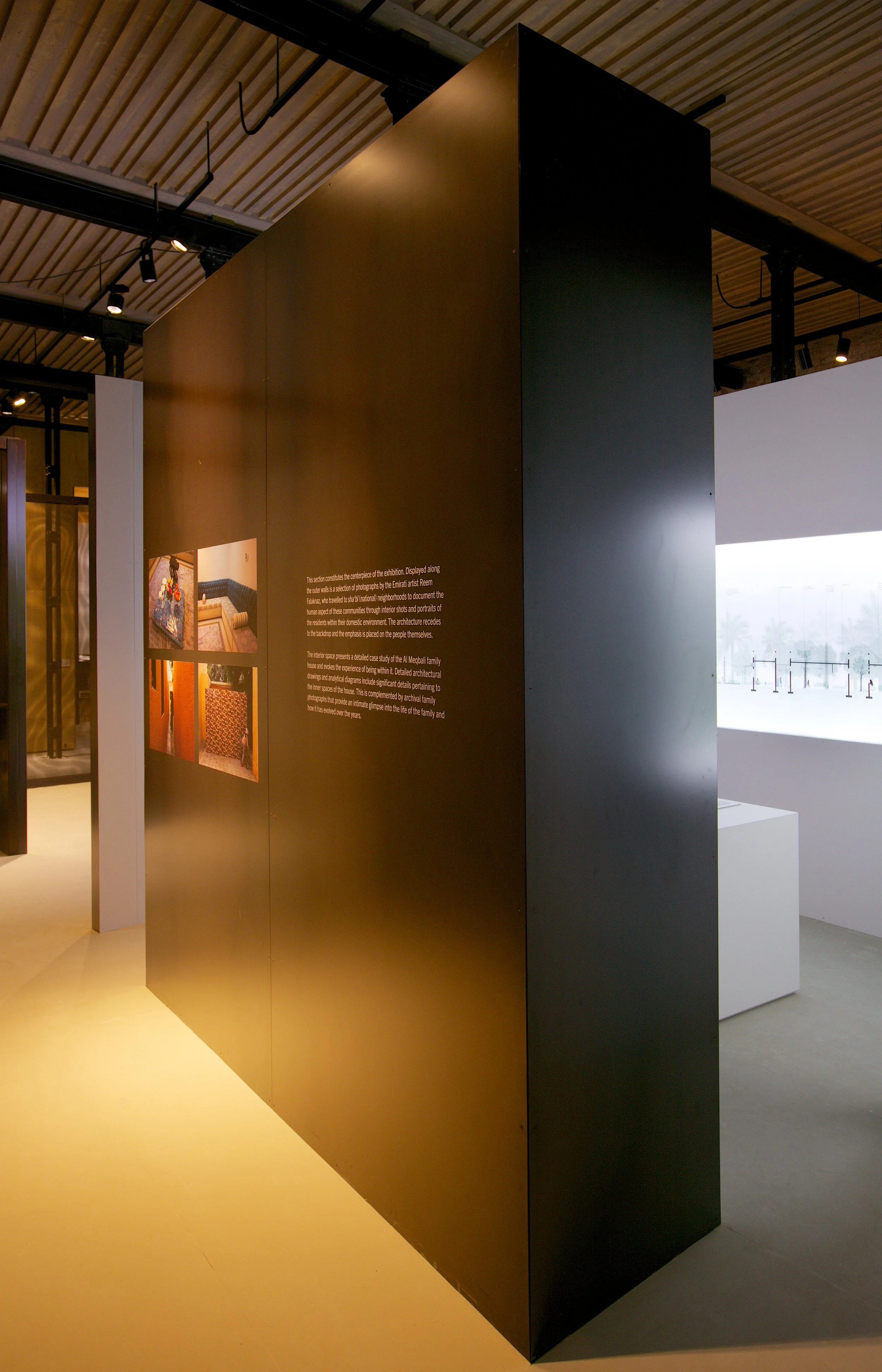 NPUAE_2016_InstallationNEW_009.jpg