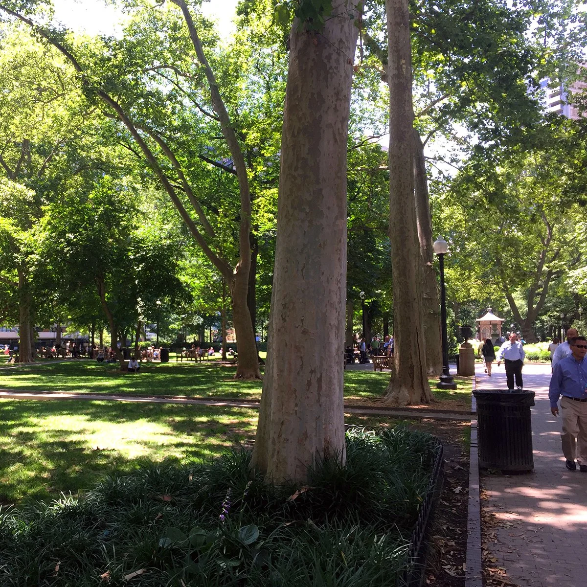 Rittenhouse Square. Philadelphia