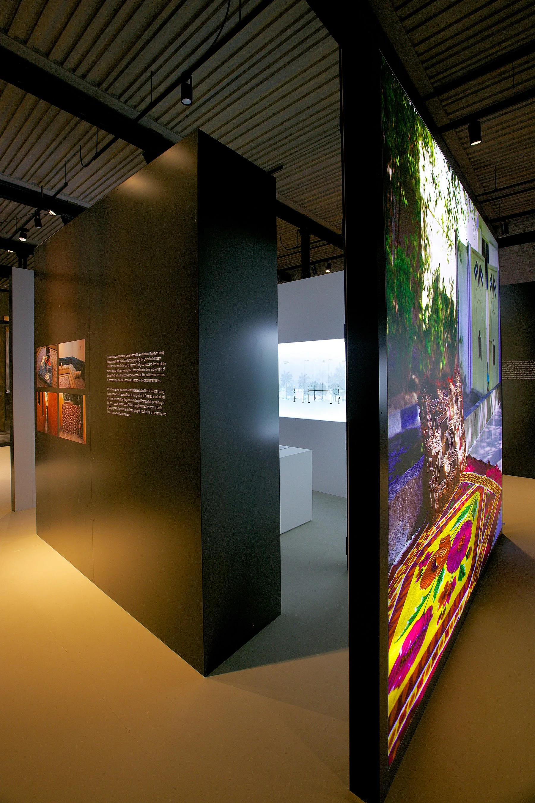 NPUAE_2016_InstallationNEW_012.jpg