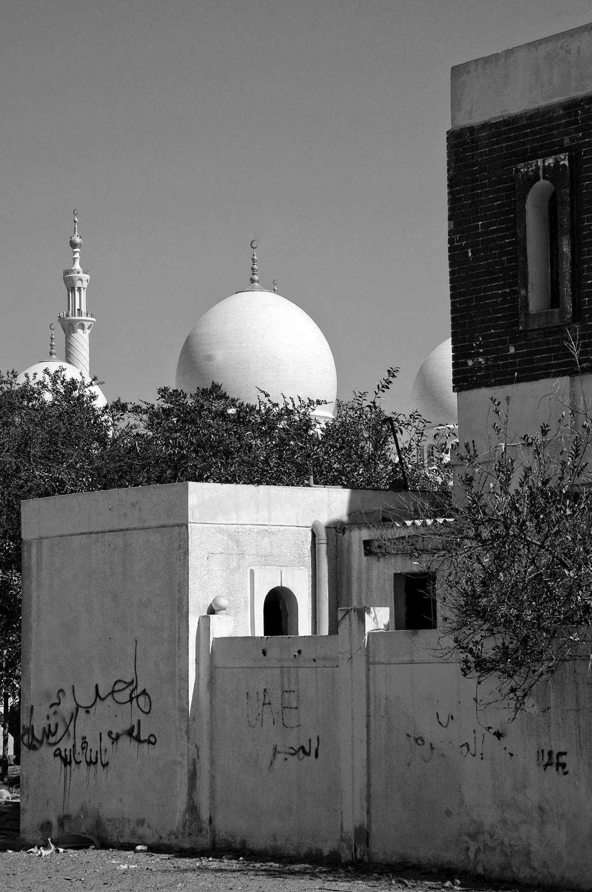 Sheikh Zayed Mosque. Abu Dhabi. 2014