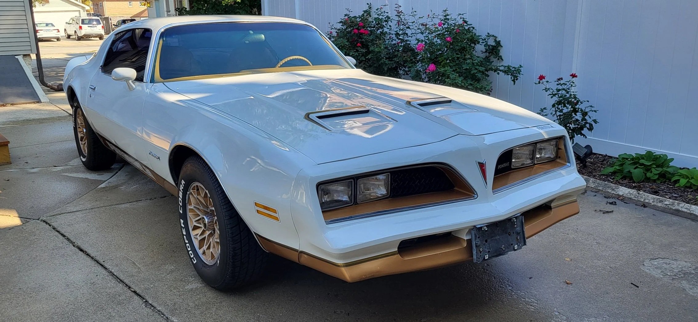 Keep your muscle and classic squeeky clean!