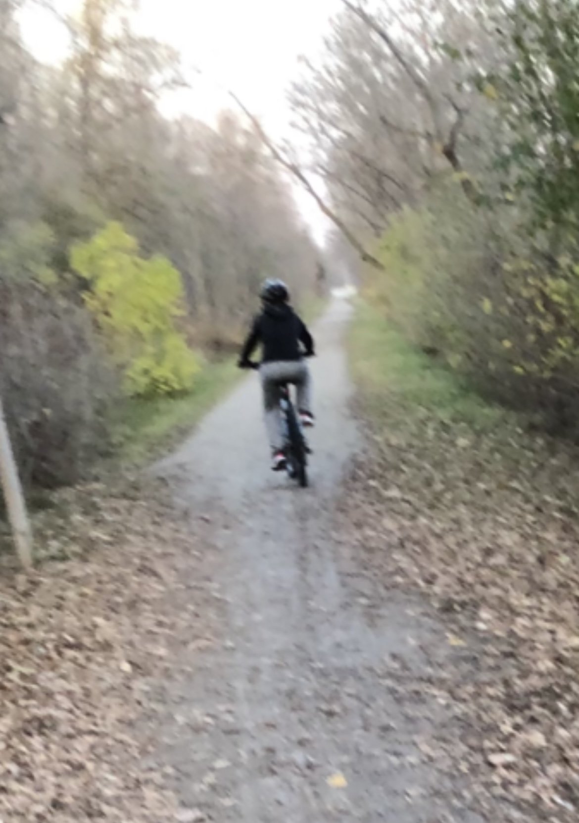 Lucas riding a bicycle on a narrow dirt trail surrounded by trees with autumn leaves.