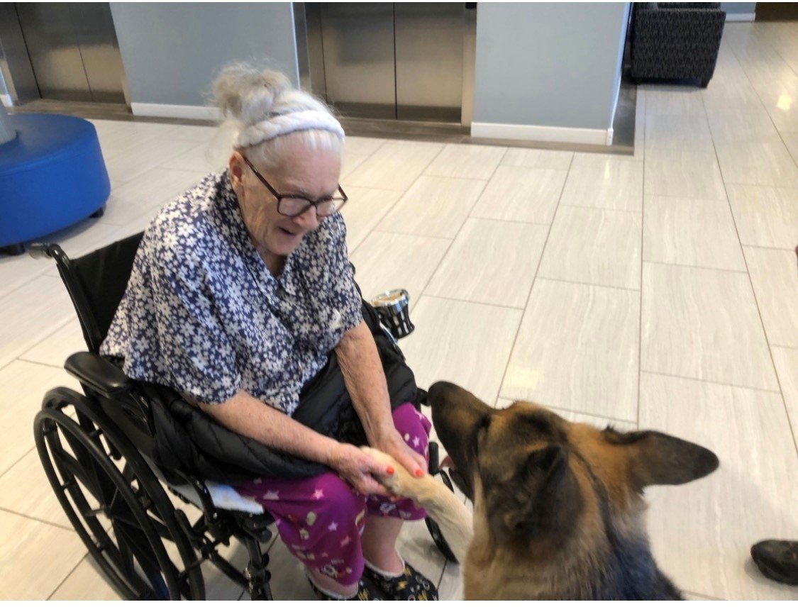 Pawsitive Mental Health in Action