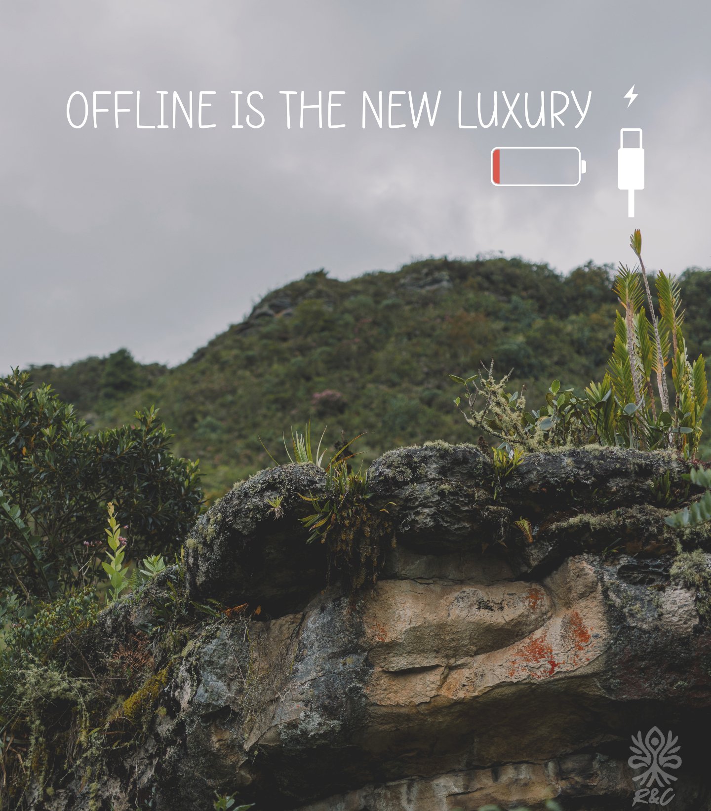Offline is the new luxury. ✨

This is Colombia. The one beyond the algorithms. The one where the only 'likes' that matter are the songs of the birds.

Ready to discover the Colombia that isn't crowded?

Your offline adventure awaits. Book it! Link in