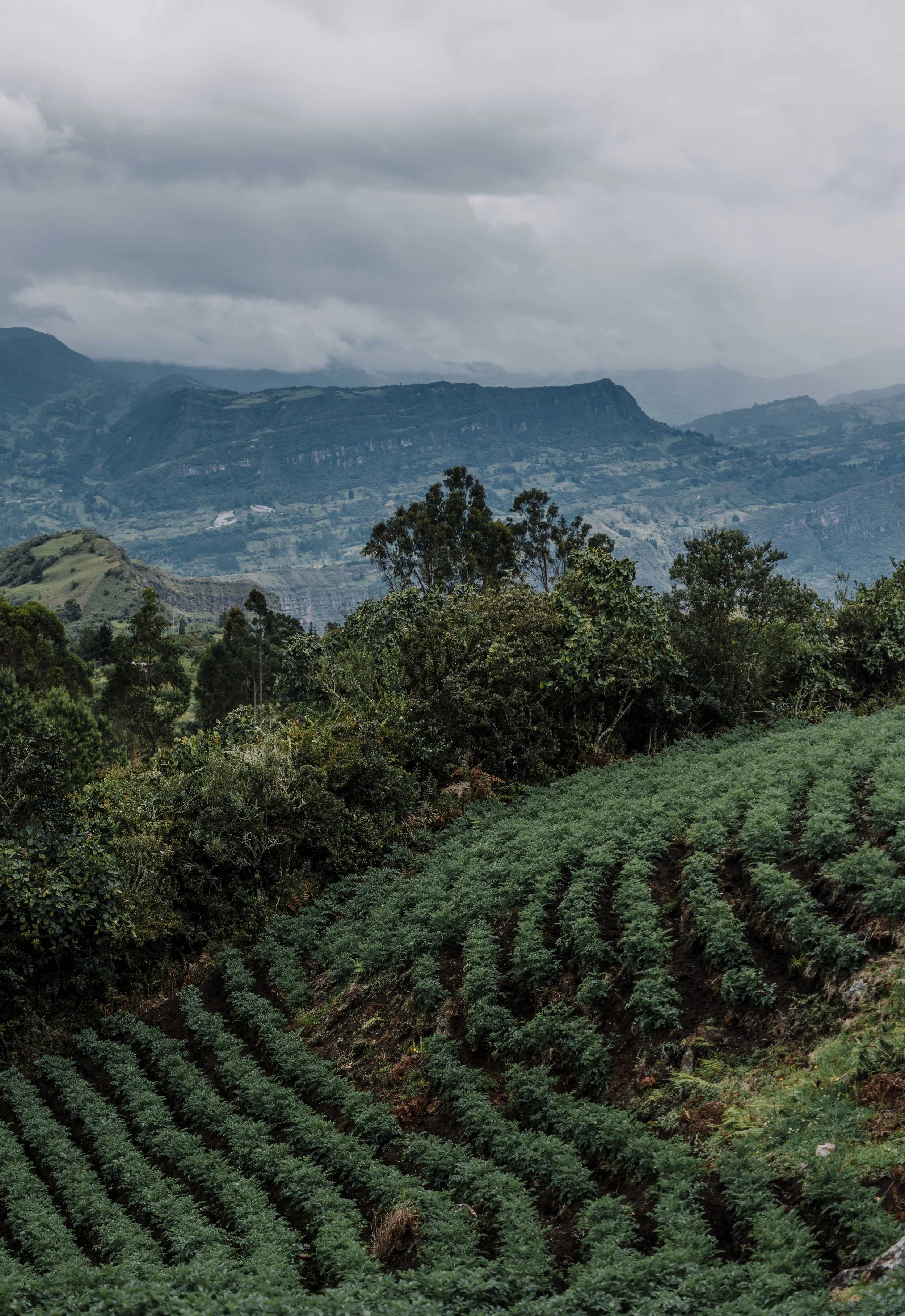 Muisca Valley Experience