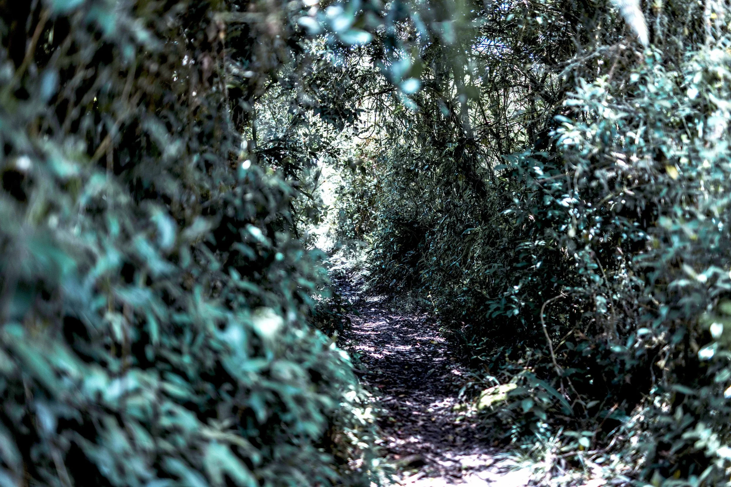 Muisca Valley Experience