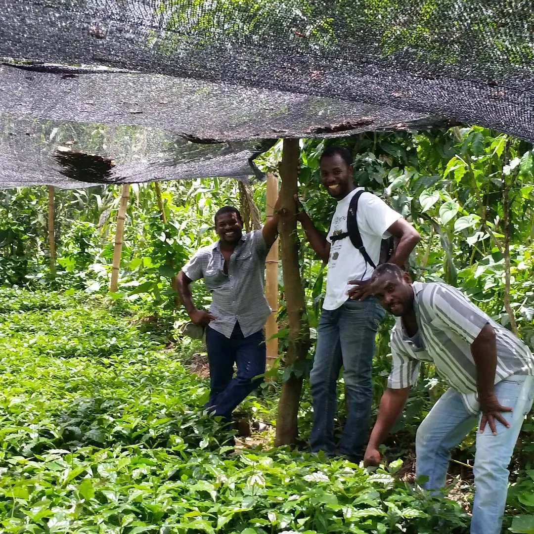 Three men in an outdoor farm, standing among green leafy plants, smiling and posing for the camera, with a shade net overhead.