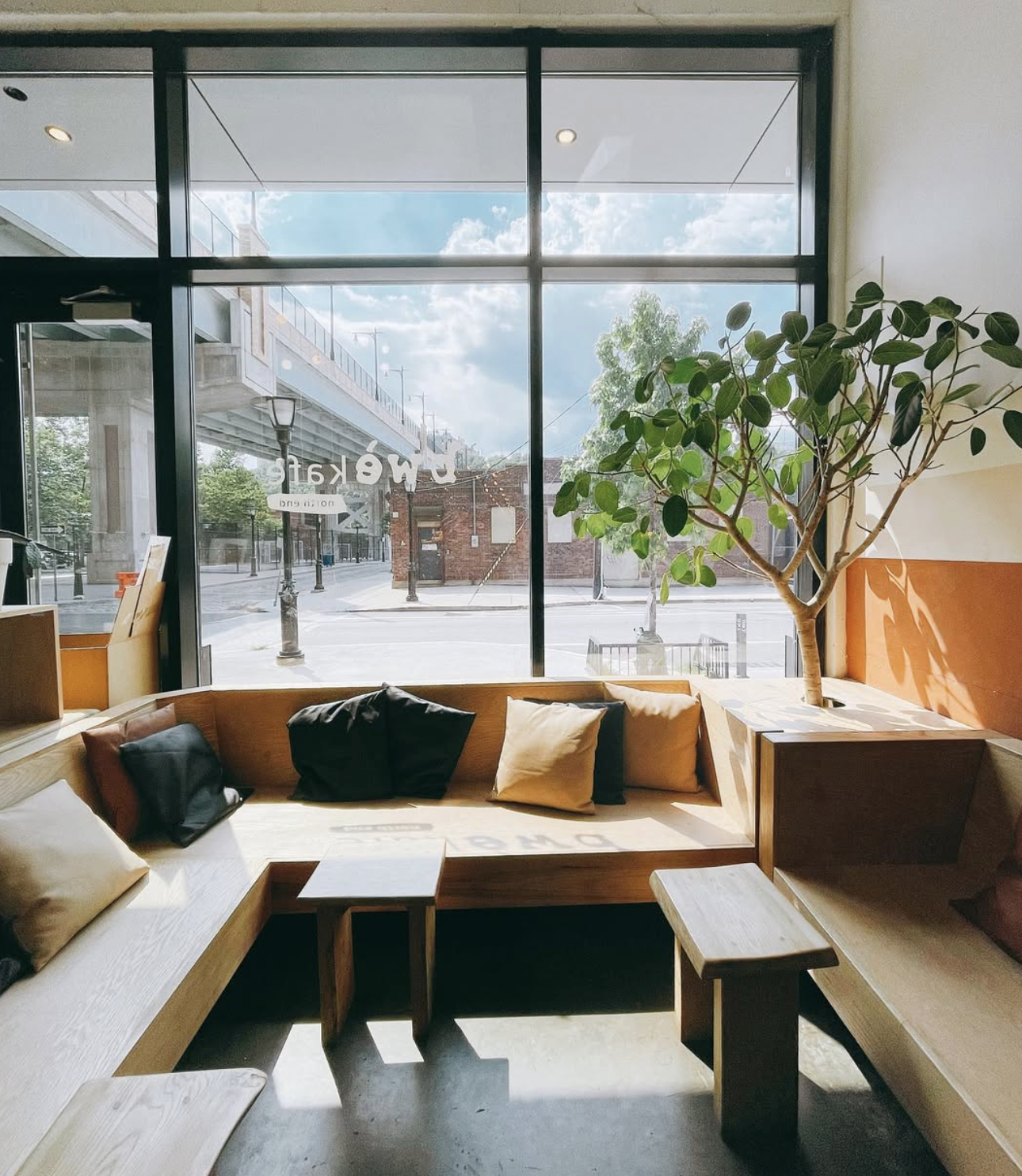 Interior of a coffee shop with large front window showing the street outside, wooden seating area with cushions, potted plant, and sunlight.