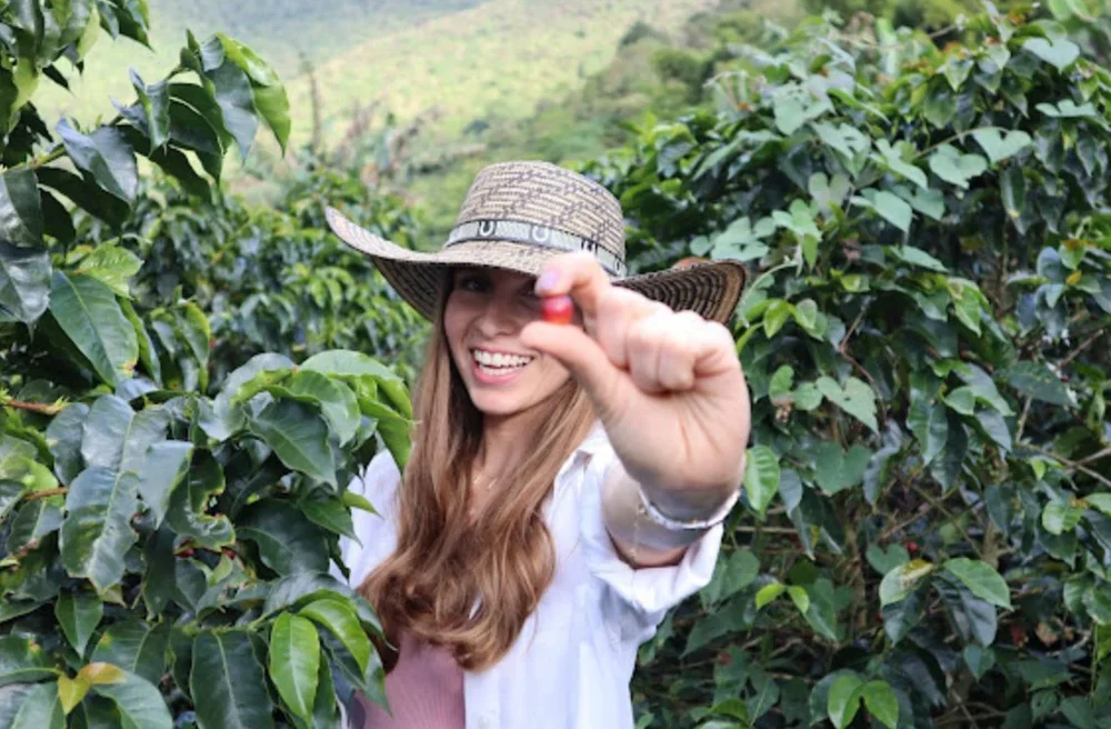 Smiling woman in a large straw hat holding a coffee cherry in a coffee field.