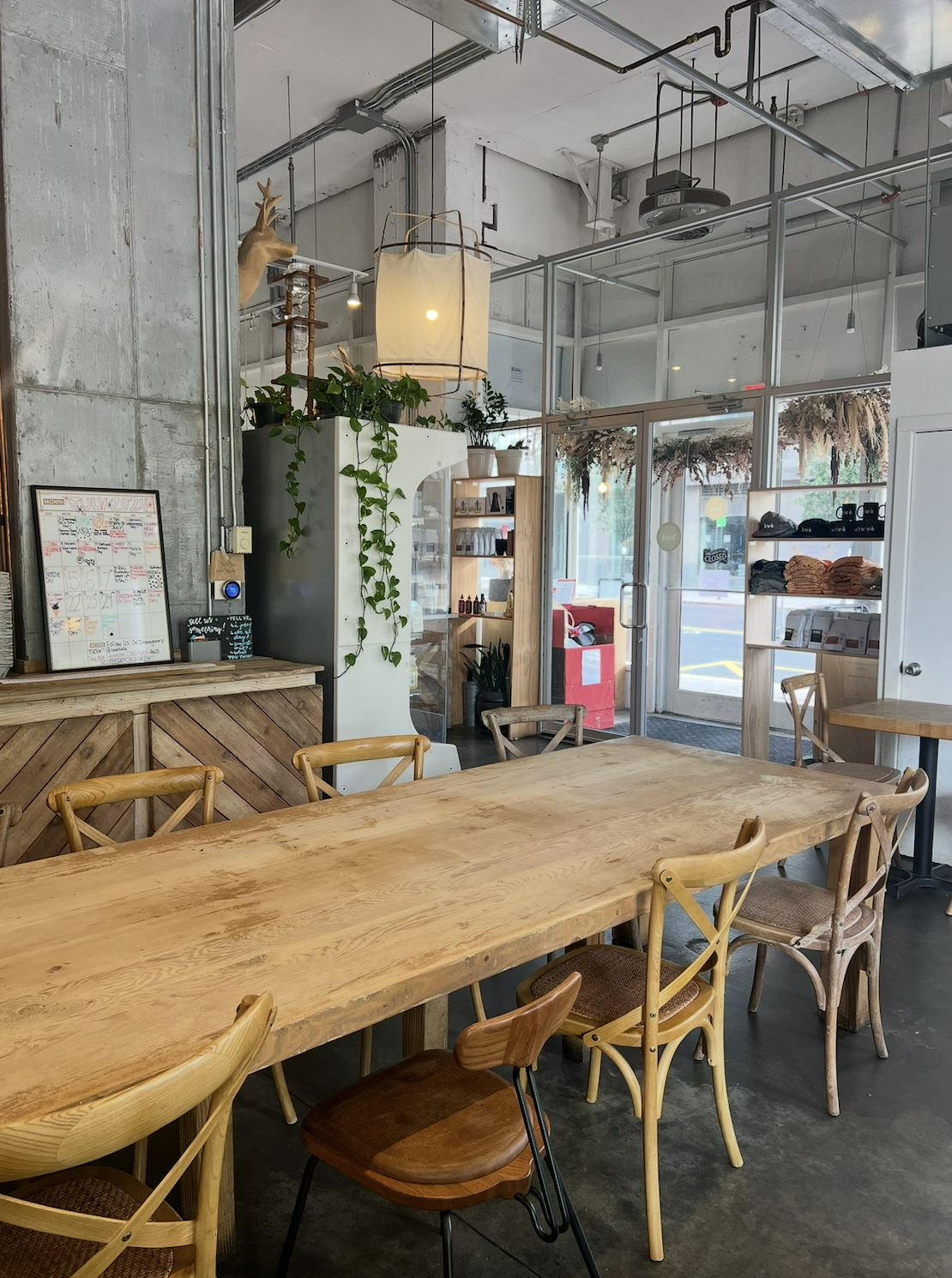 Interior of a cozy cafe with a large wooden table and various chairs, decorated with plants, a white cabinet, and a deer head mounted on the wall. Glass door and windows reveal the street outside.