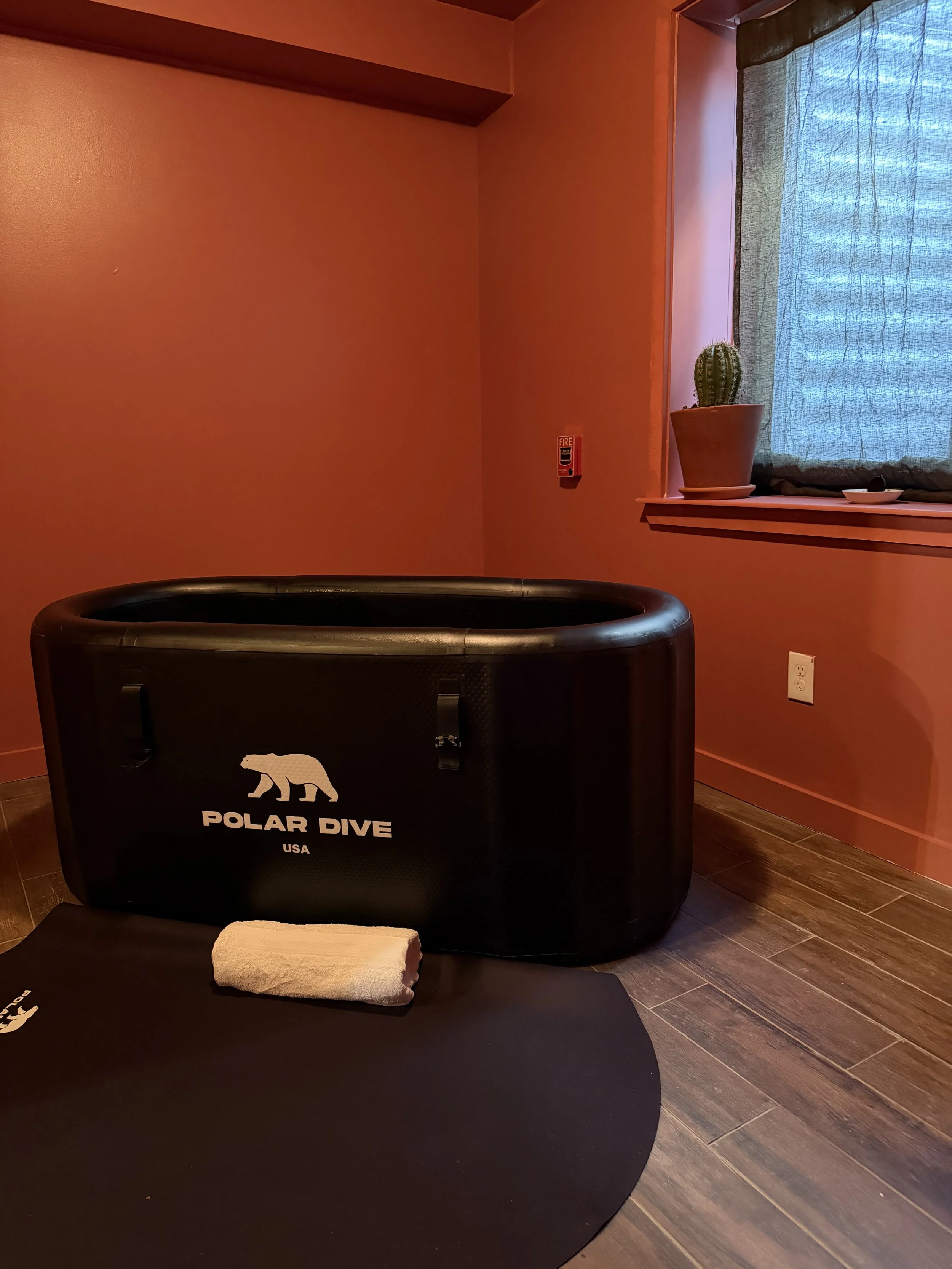 Indoor scene with a black Polar Dive drysuit bag, a folded towel on a black mat, an orange wall, a window with a cactus in a pot, and a fire alarm on the wall.