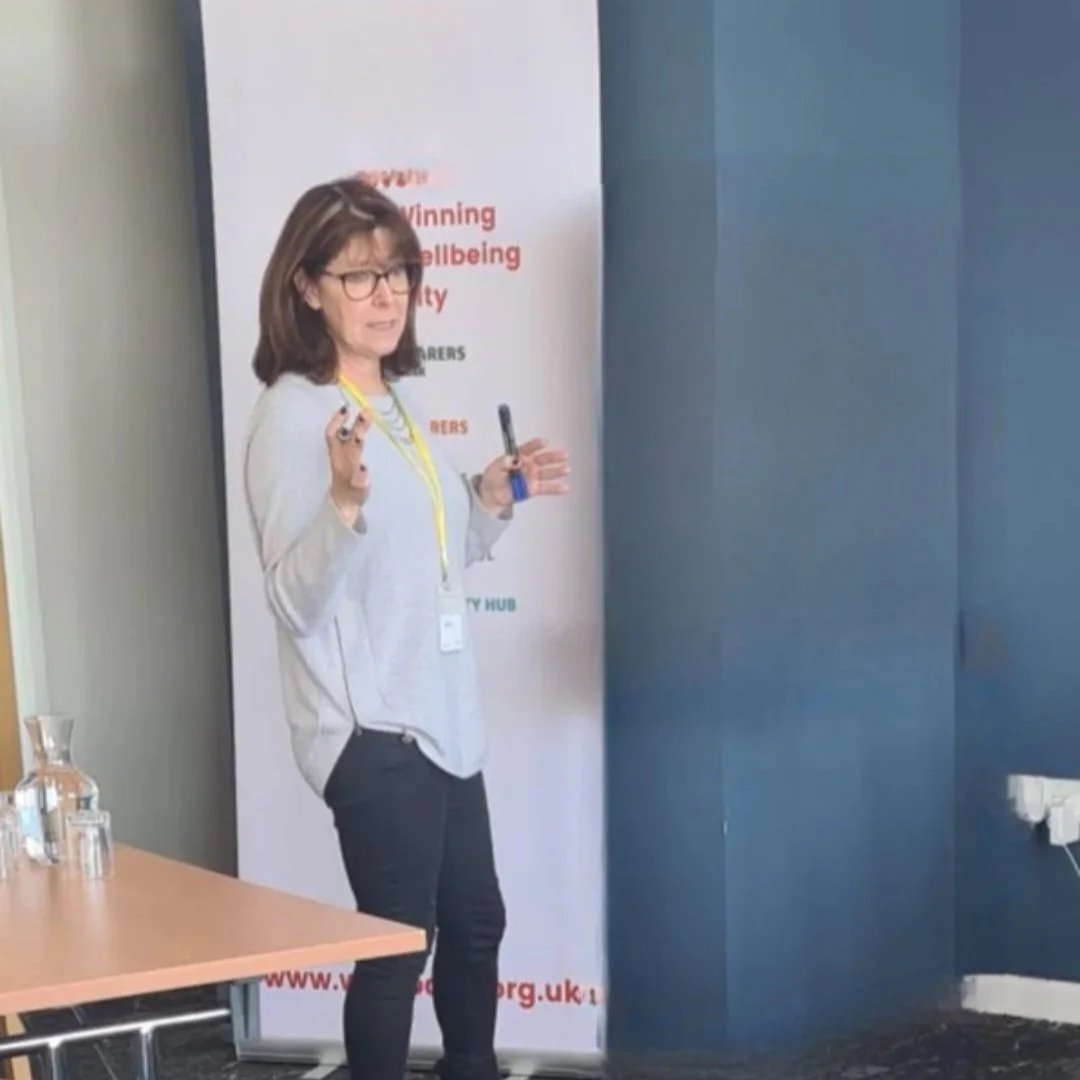 Systemic Perspectives speaker at professional development event on systemic practice