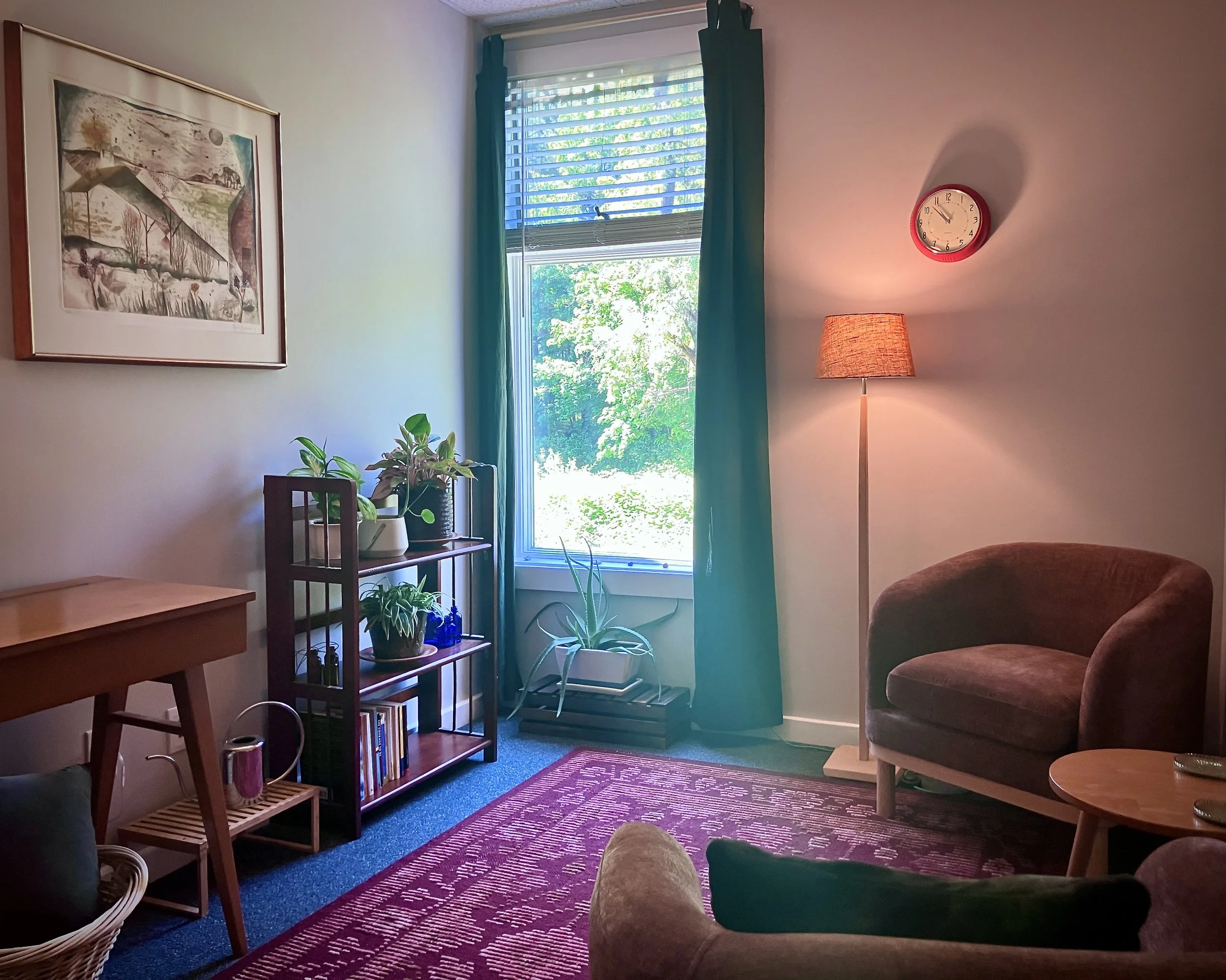 Living room with a window, a clock on the wall, a floor lamp, a brown armchair, a wooden side table, and a bookshelf with plants and books.