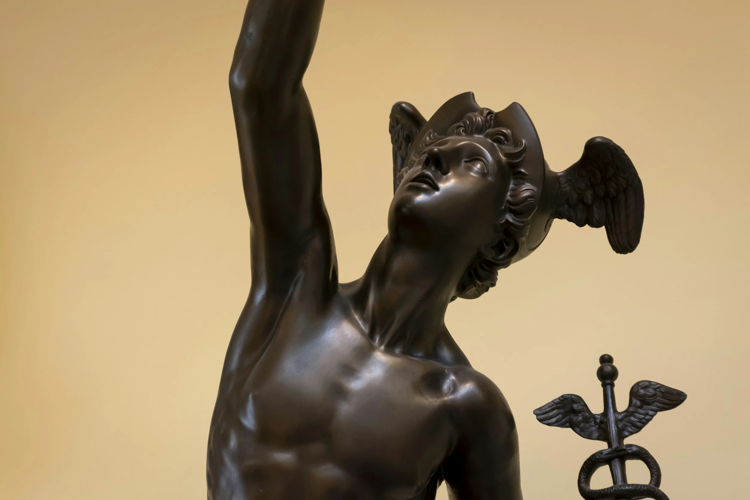 Mercury Retrograde in Leo: The courage to ask