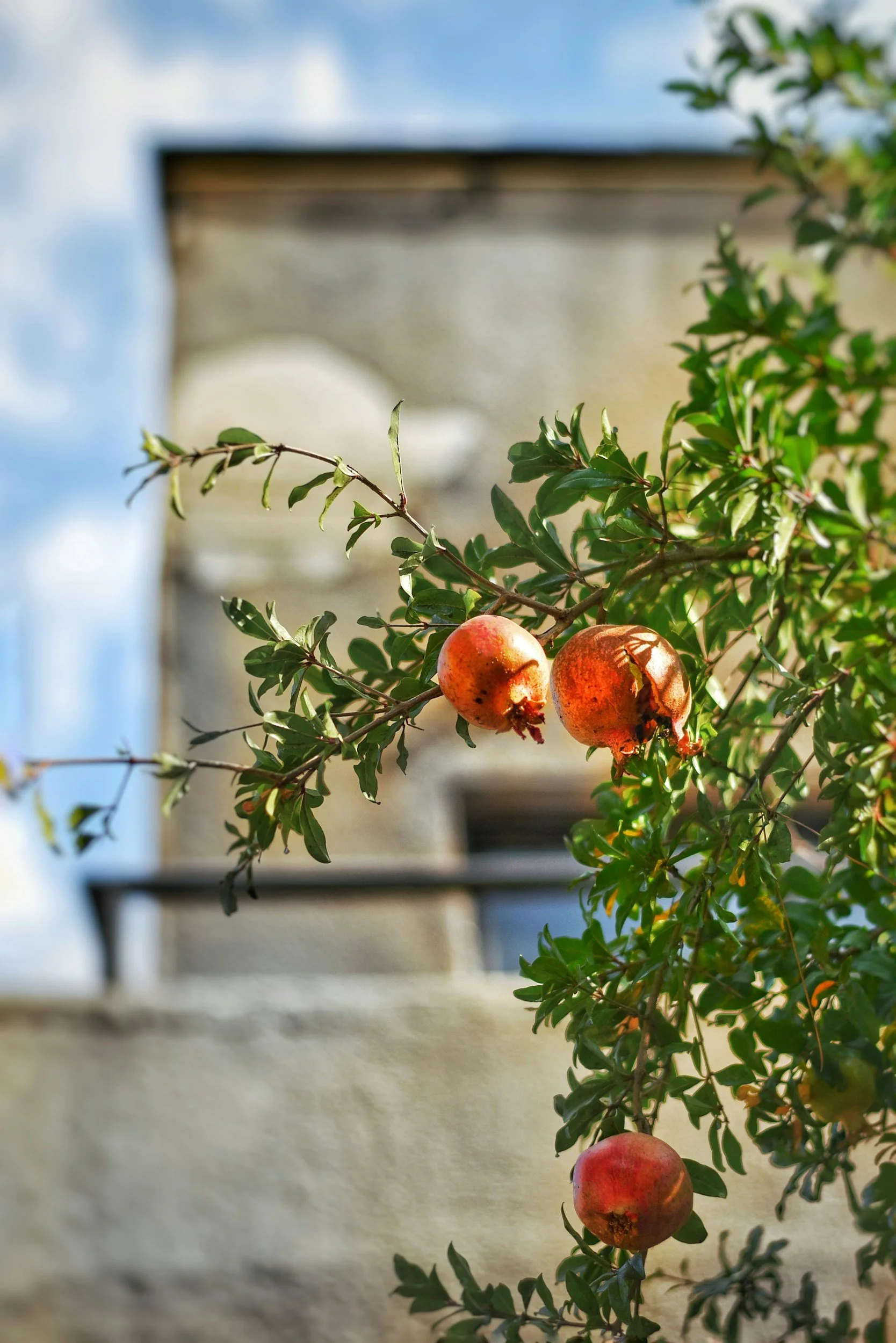 August Astrology Update