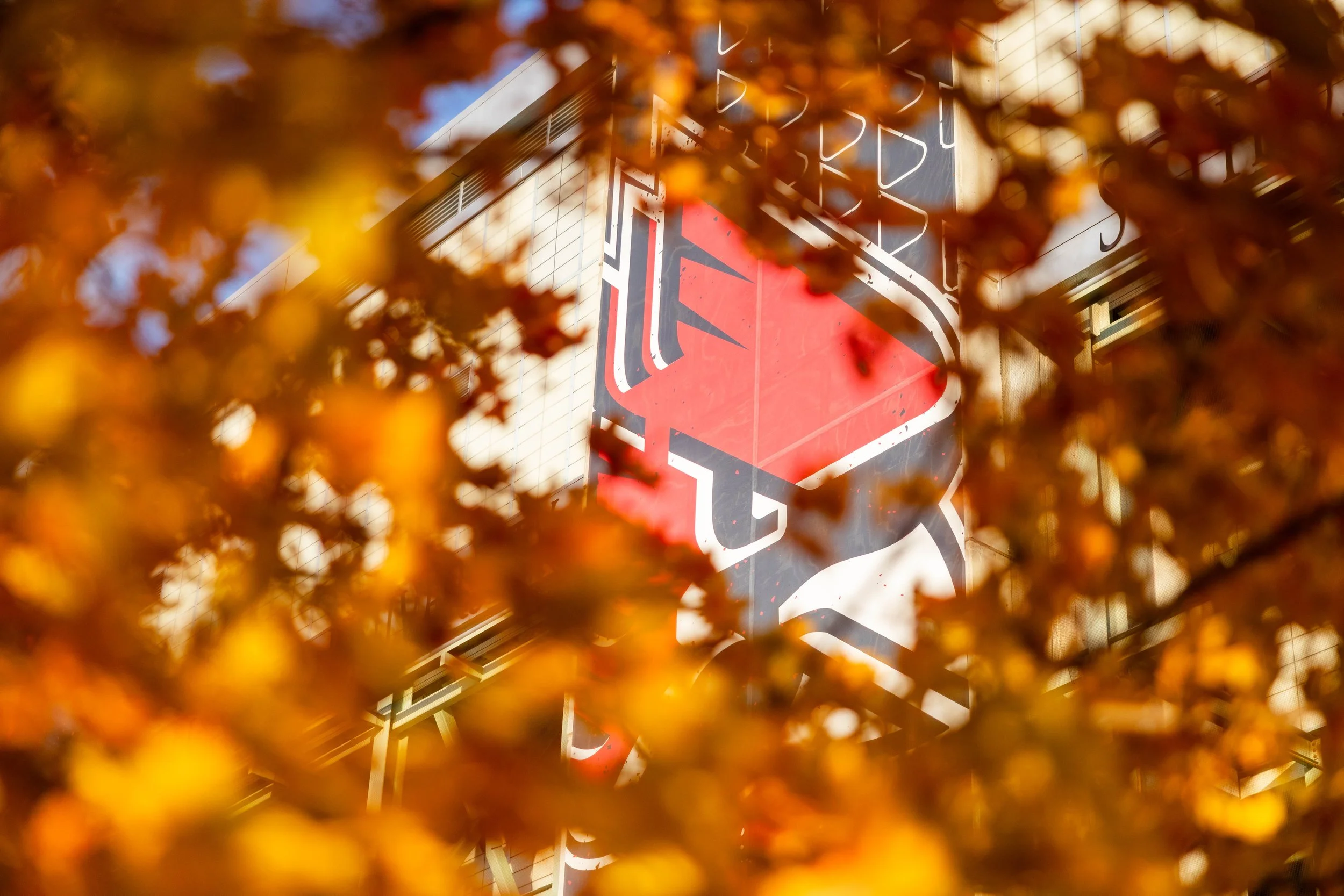 Cardinal Weather-November 05, 2025- 15.jpg