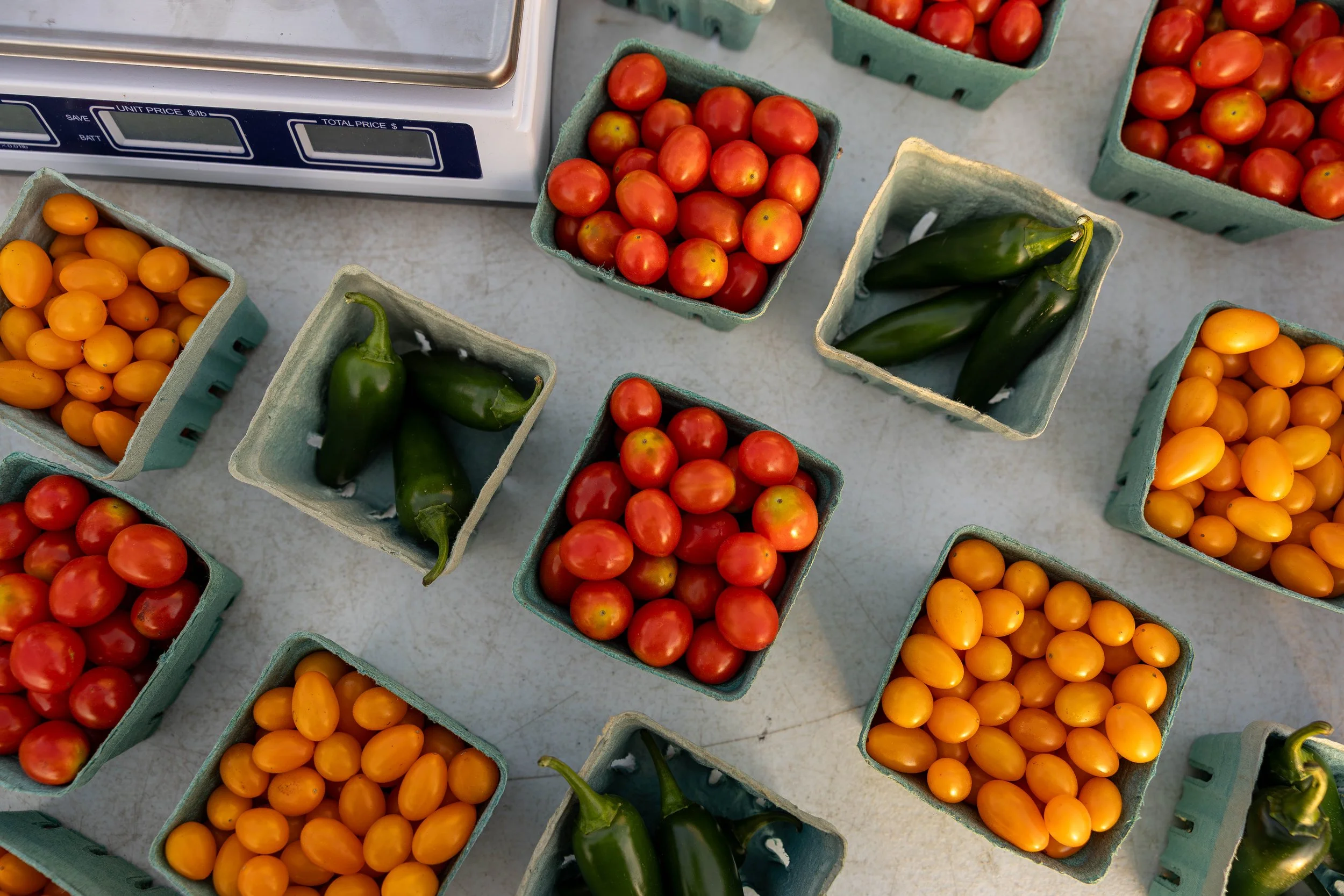 Food Hub-October 24, 2025- 88.jpg