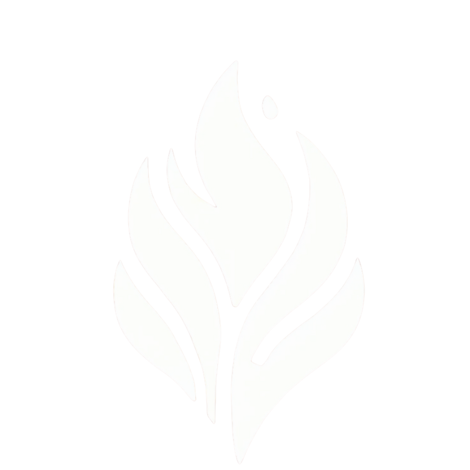 Minimalist white flame logo with stylized leaves on a black background.