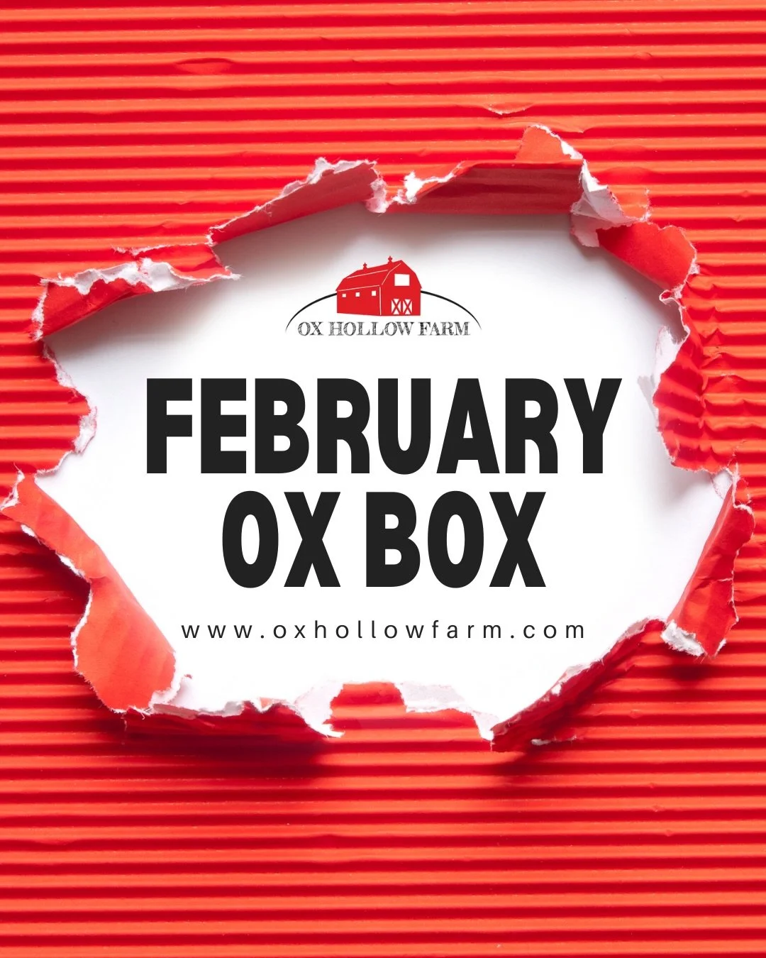 February Ox Box! 📦❤️

3-pack eggs in a heart box
1 jar of salsa
2 lbs ground beef
1 pack top round steak
1 pack bacon
1 pack chorizo sausage
1 pack chicken maple sausage
2 packs of wings (12 wings total)
1 pack drumsticks (5 per pack)

Order now at 