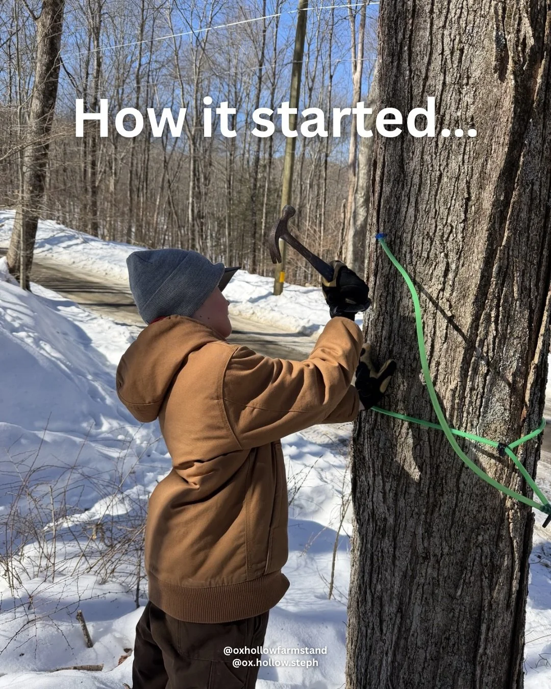 The boys have been working hard on tapping our maple trees&hellip;and now we have our first 2026 batch of maple syrup! 

Available at our Bantam farm stand, the markets, and our online store 🍁