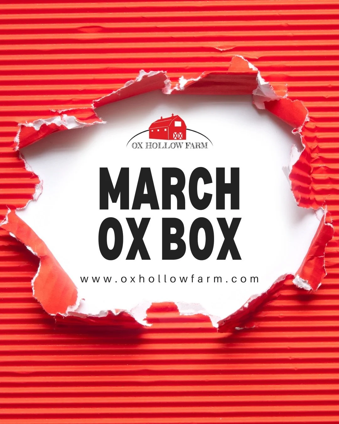 March Ox Box! 📦❤️

2 packs Leg/Thigh Quarters&nbsp;
1 packs Bone in Breast
1 pack Chicken Maple Sausage&nbsp;
2 packs Ground Beef
2 packs Short Ribs
1 pack Smoked Bacon 
1 Bloody Mary Mix
1 Pepperoni&nbsp;

Order now at www.oxhollowfarm.com
$100 + s