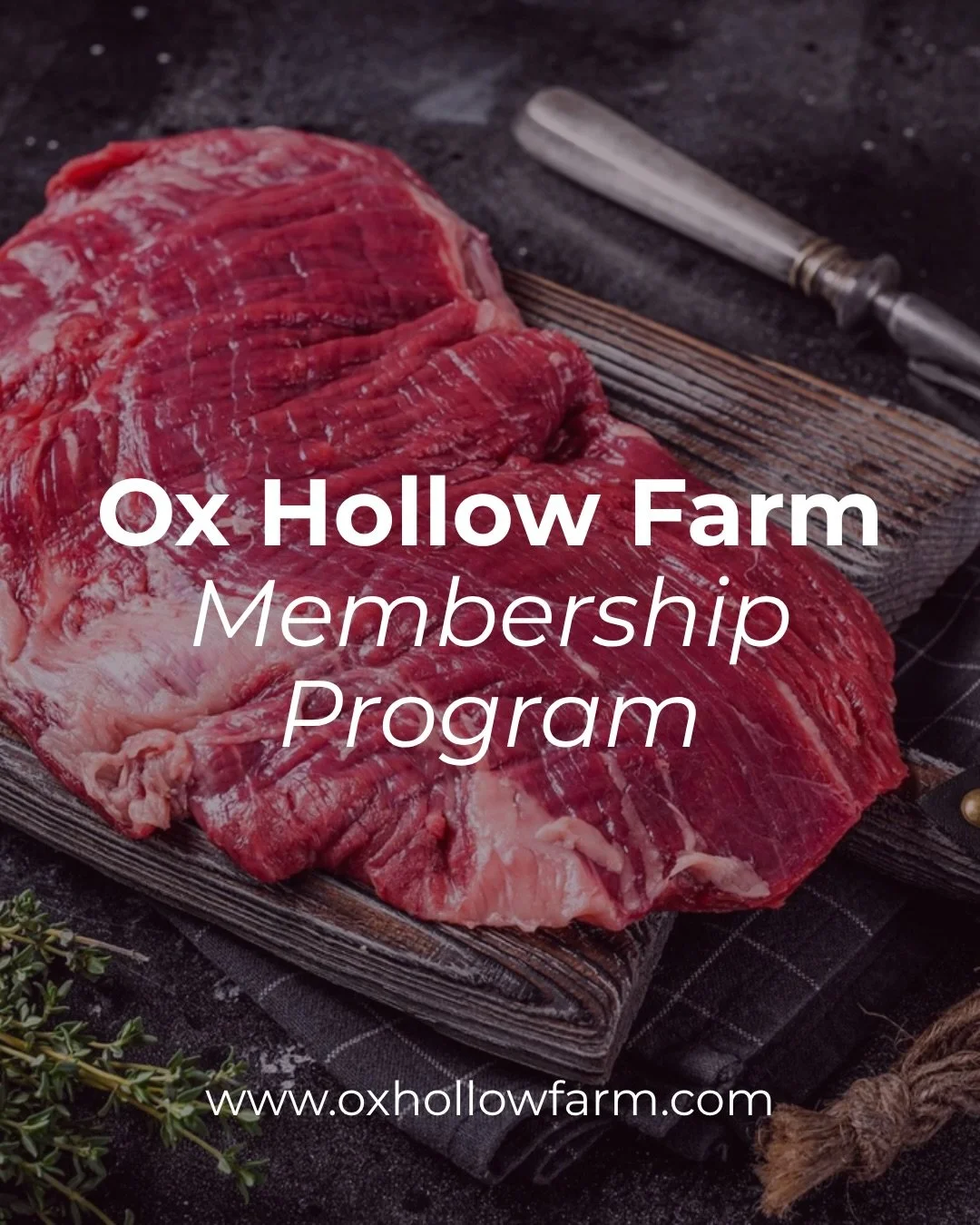 This membership is designed to support our farm through the seasons while giving you more value and flexibility to shop for your favorite local goods, on your own schedule.

Your early support keeps our farm thriving, and in return, your fridge (and 